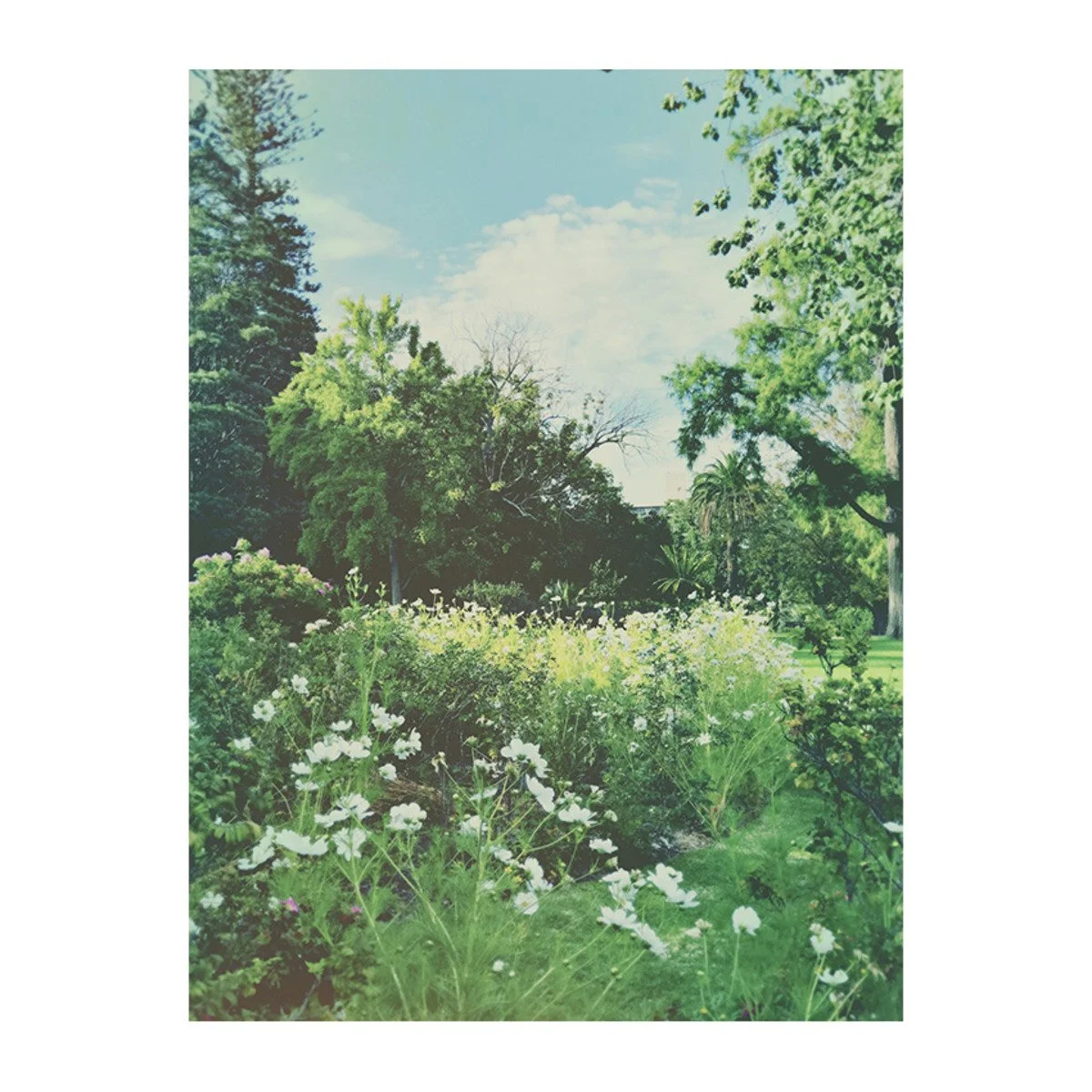 Day 30: Light (Copy)