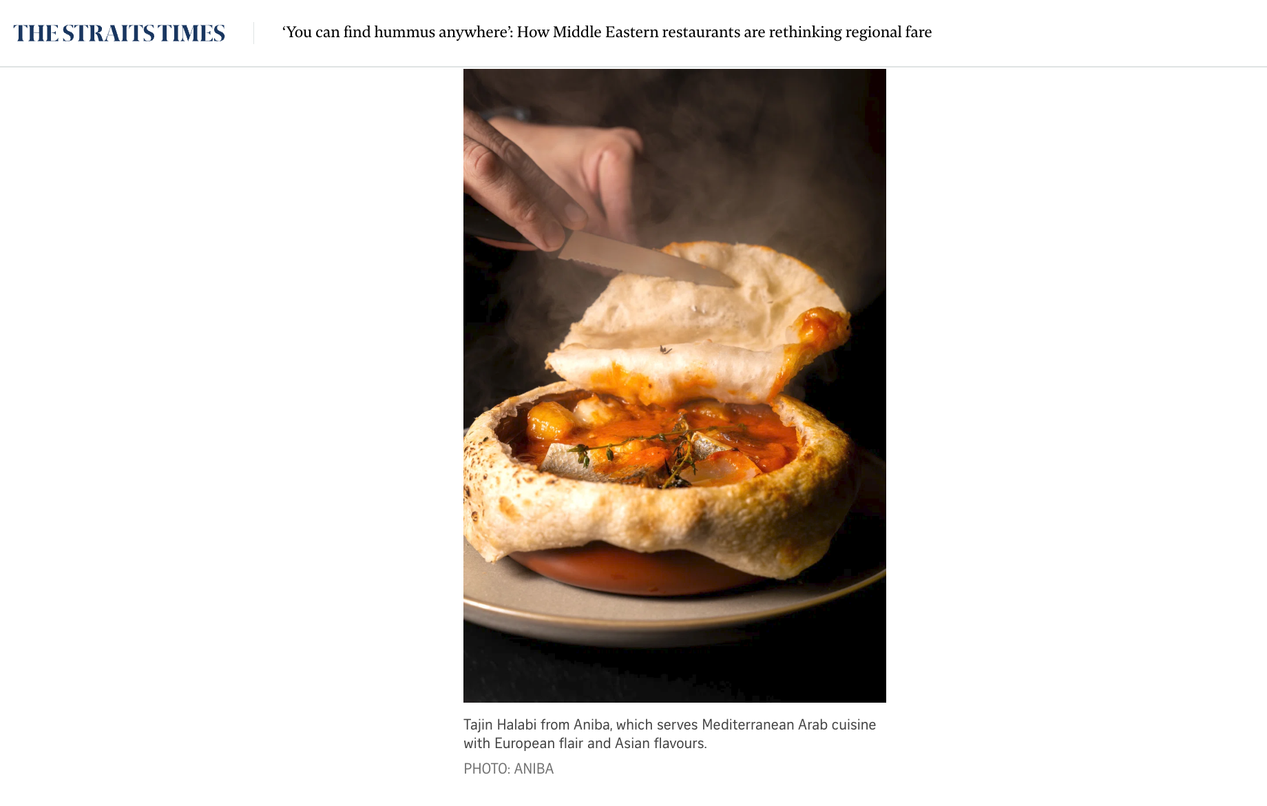 The Straits Times Aniba Feature