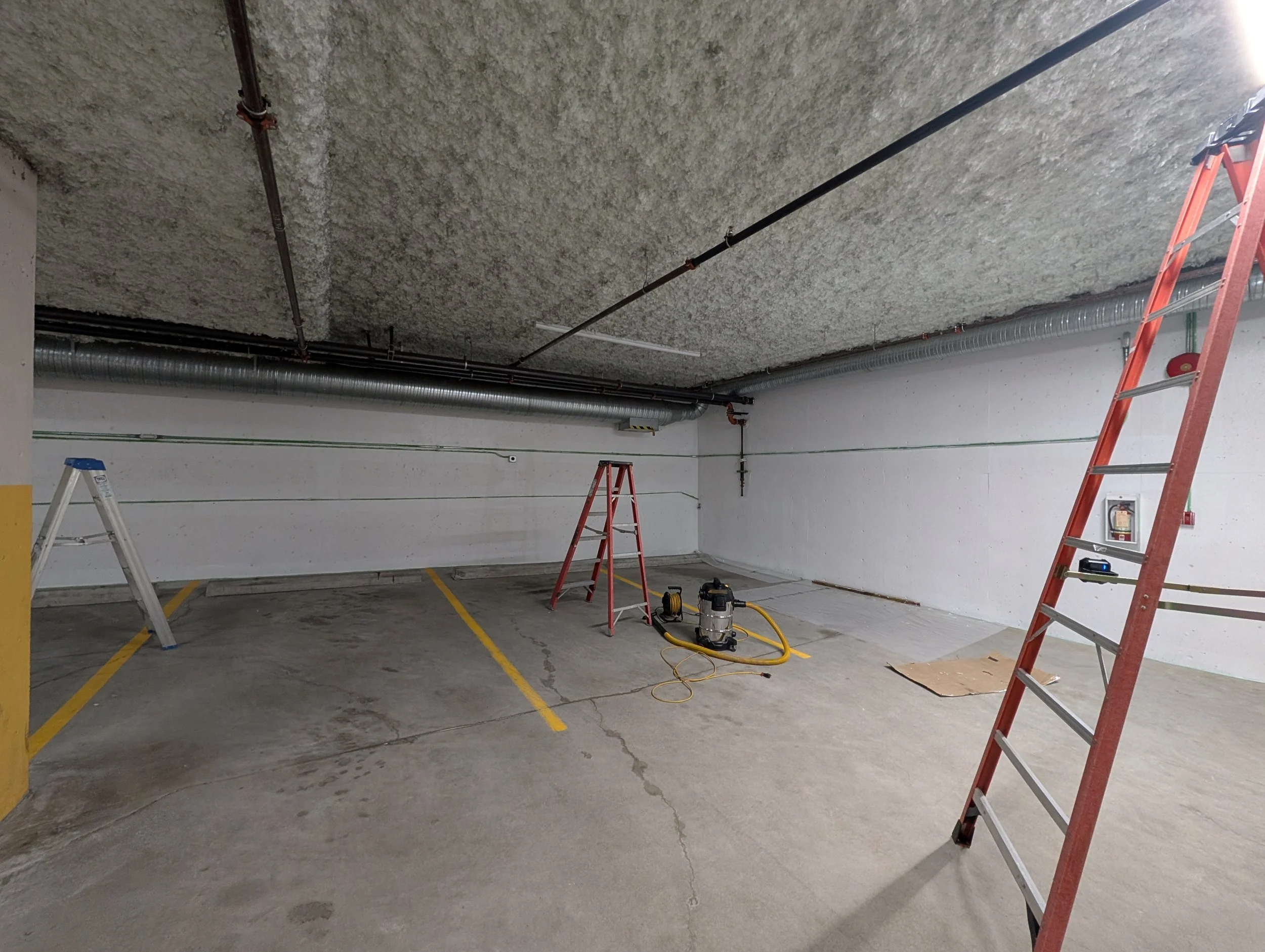 PXL_20251023_190711172.MP.jpg