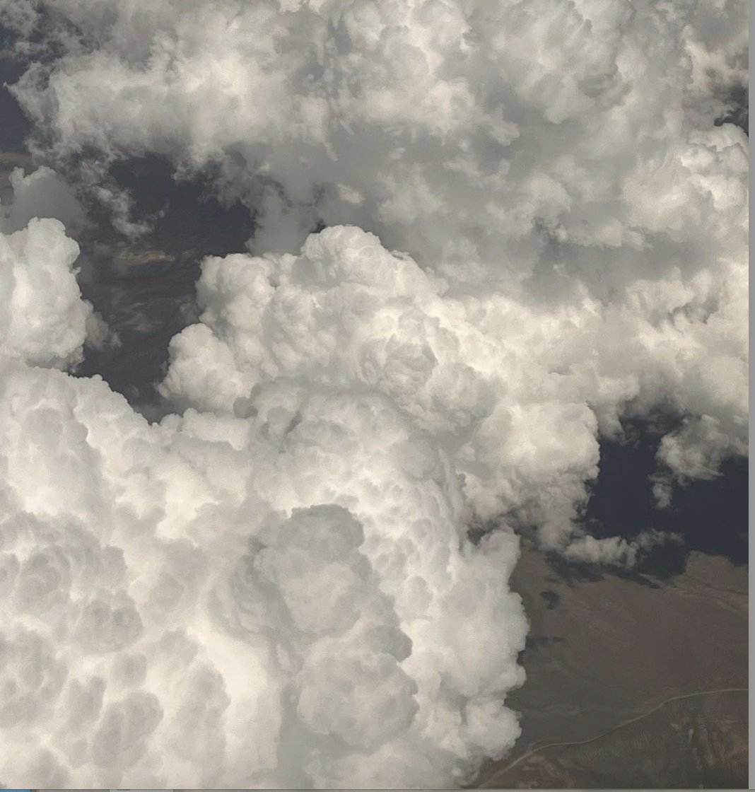 she used to steal horses