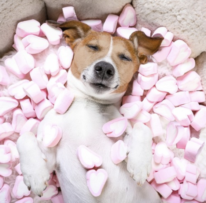 9-Minute Self Love