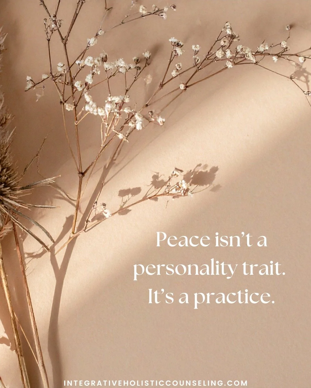 Peace isn&rsquo;t a personality trait. It&rsquo;s a practice.

It&rsquo;s the pause before reacting.
The breath you take when things feel overwhelming.
The choice to slow down, reset, and respond with intention.

Peace isn&rsquo;t something a few peo