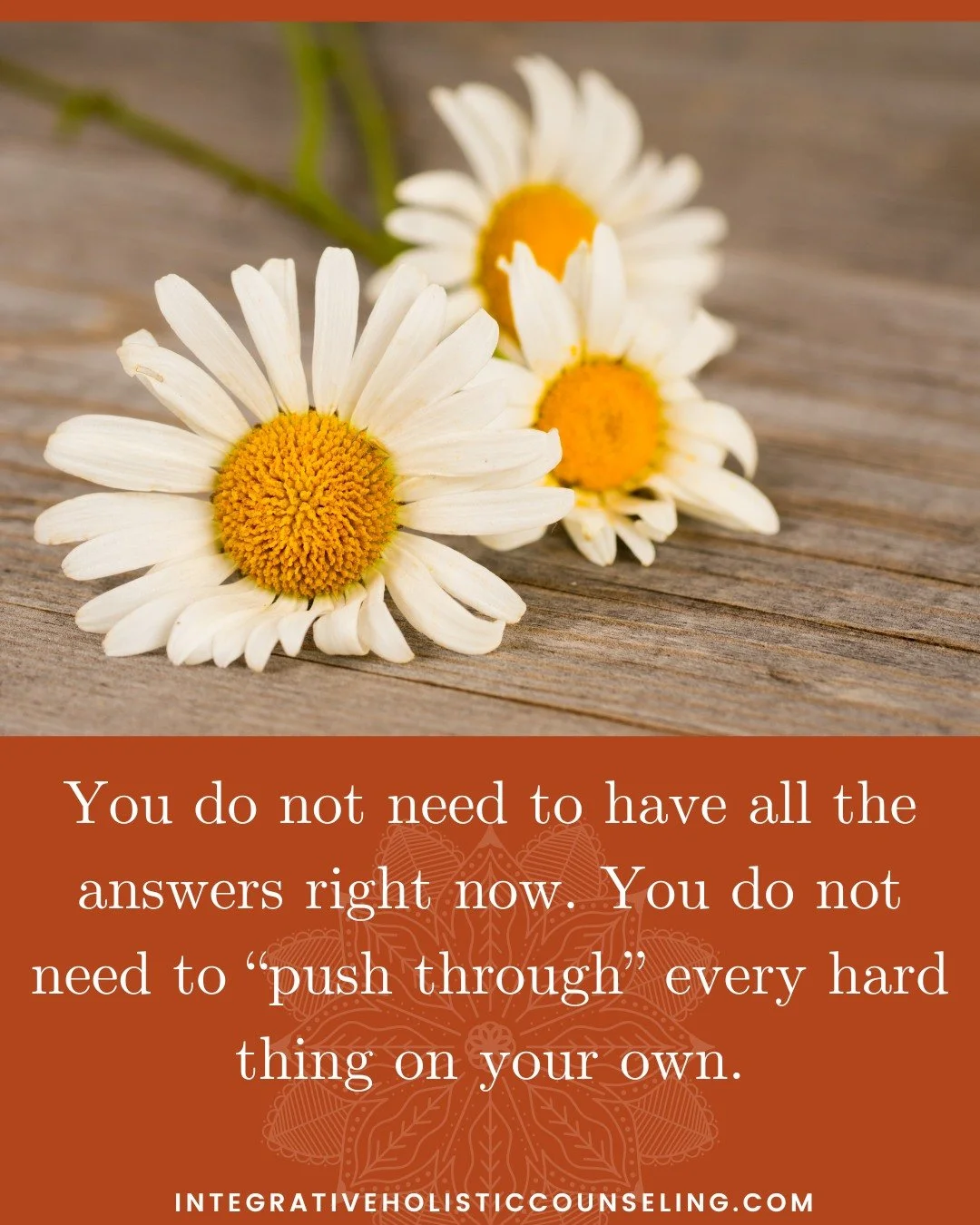 June is here ☀️

A gentle reminder for the month ahead: you are allowed to move at your own pace.

You do not need to have all the answers right now. You do not need to &ldquo;push through&rdquo; every hard thing on your own. And you do not need to w