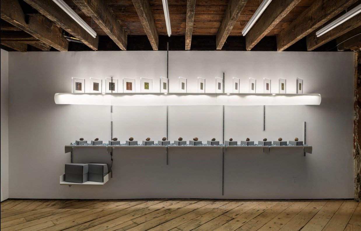 Performing Time at Foreign &amp; Domestic, New York