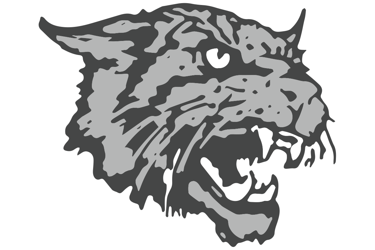 East Chapel Hill HS.png