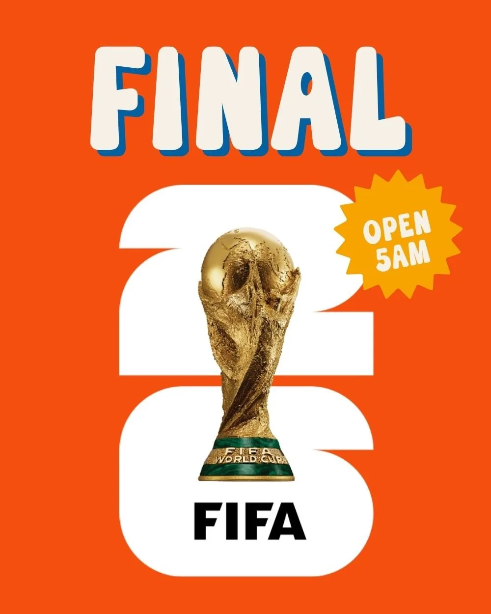 FIFA World Cup Final