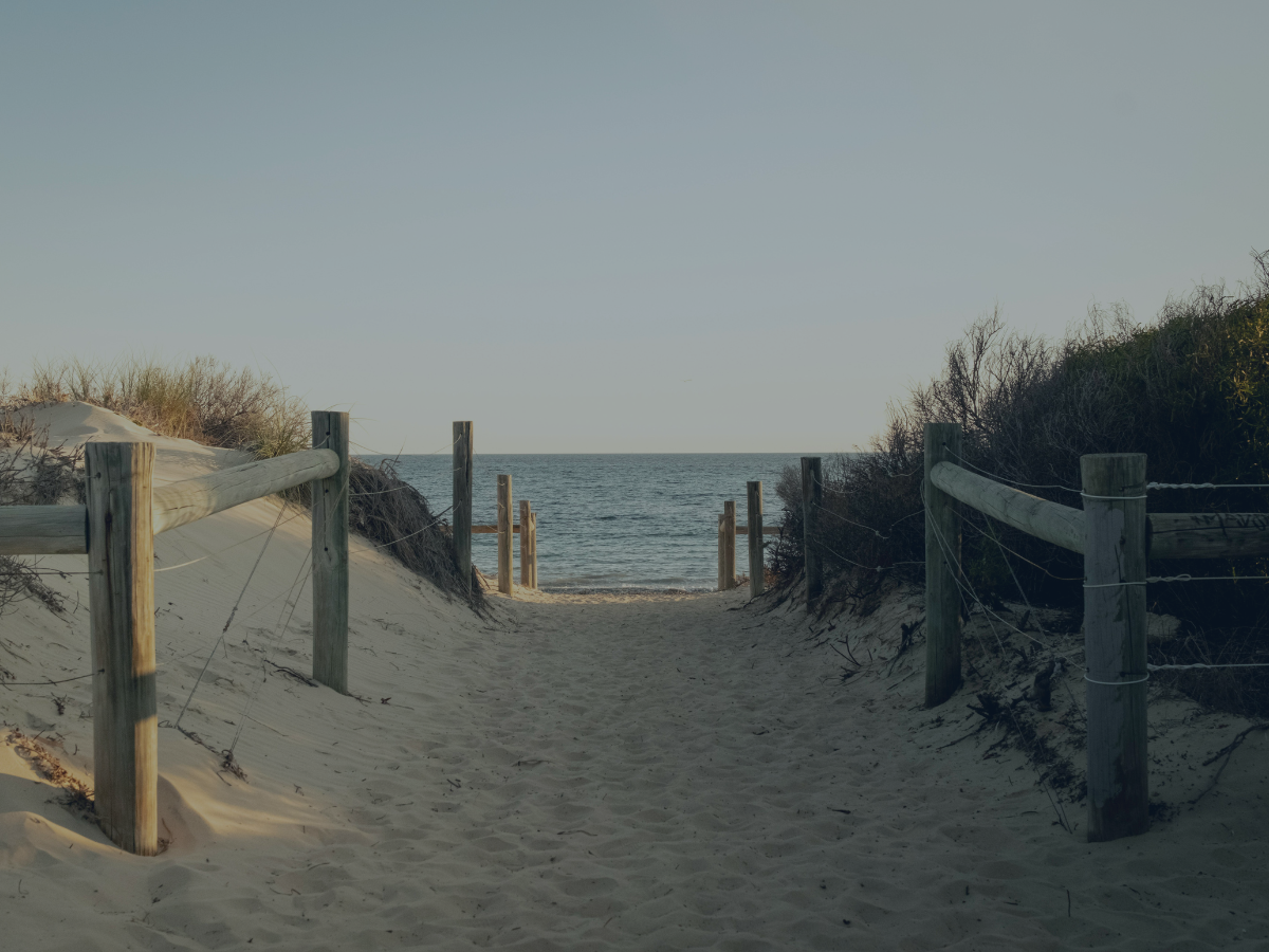 Sand pathway leading to the ocean, flanked by sand dunes and wooden fences on both sides, with a clear blue sky overhead.