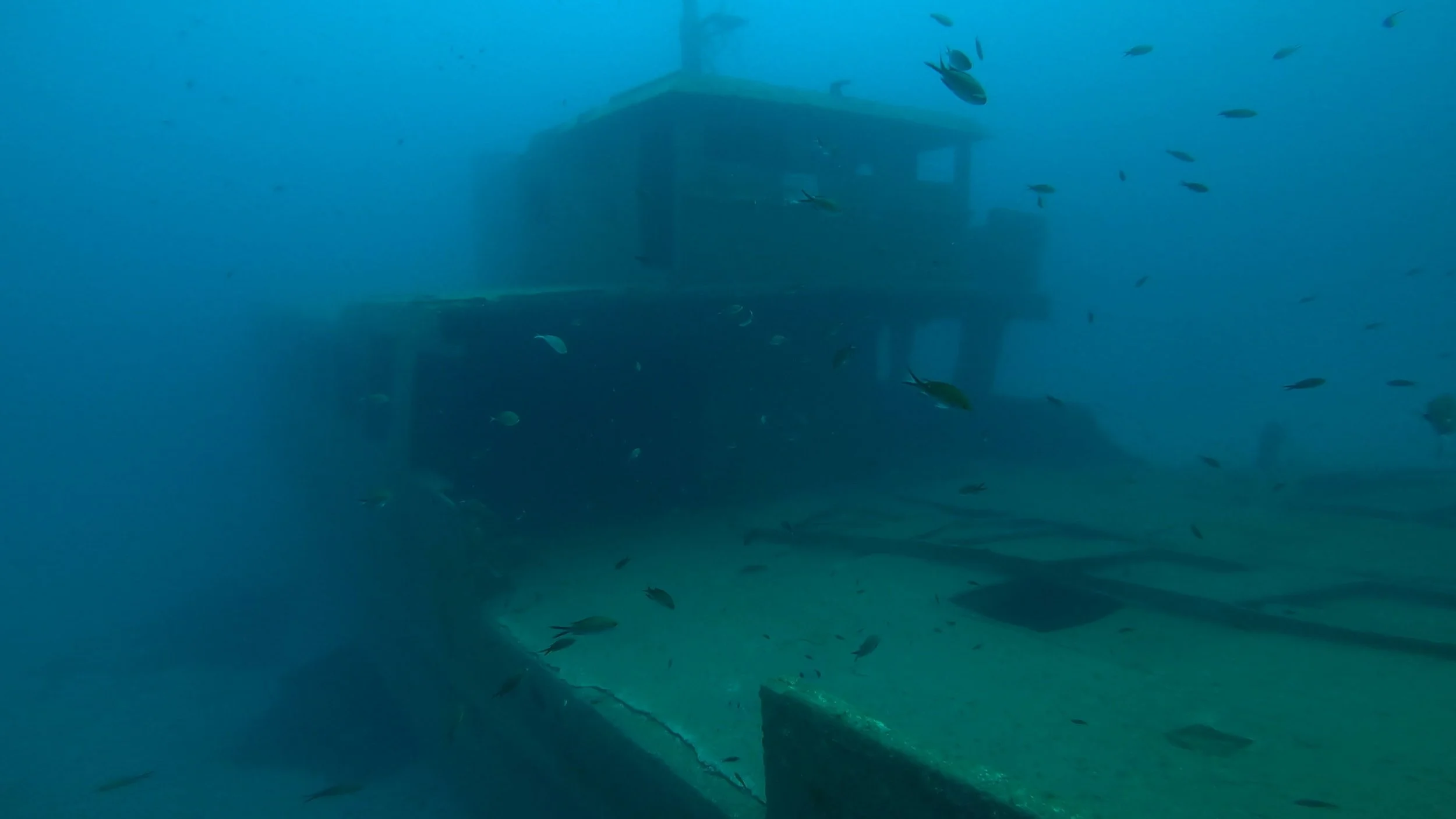 Cominoland outside.jpeg