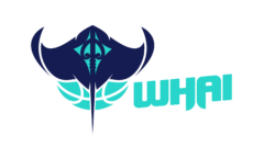 Otago Nuggets v Tauranga Whai