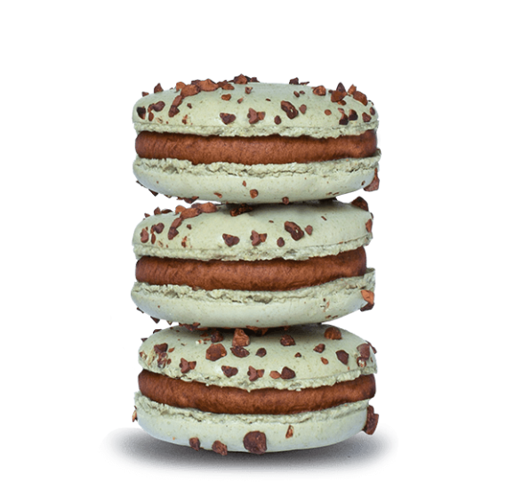 Screen Shot 2024-01-09 at 2.03.40 AM.png