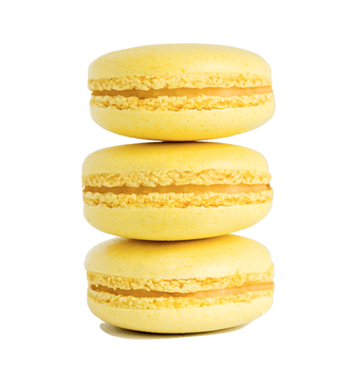 Screen Shot 2024-01-09 at 2.02.46 AM.png