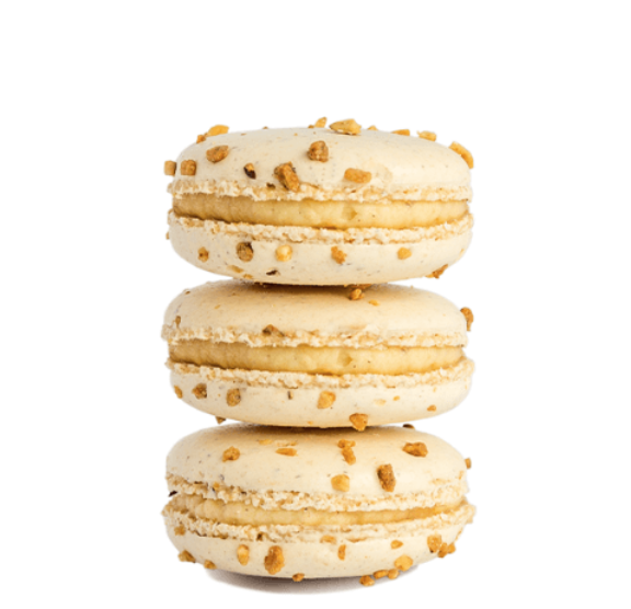 Screen Shot 2024-01-09 at 2.04.01 AM.png