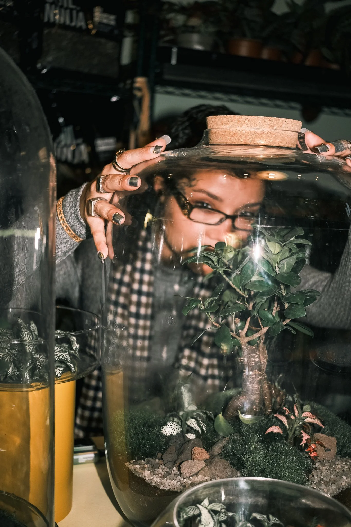 jgrey_terrariums_samdaviiess-18.jpg