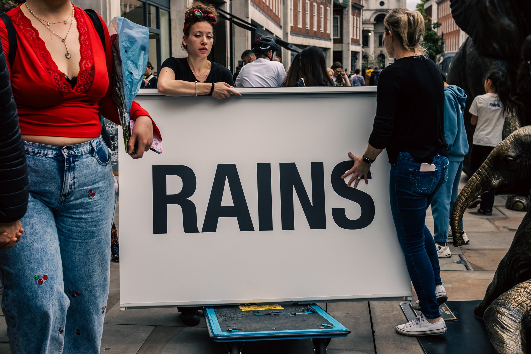 Rains & Austin Augie