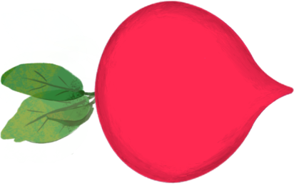 Radish