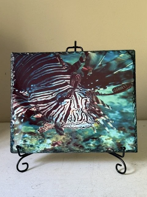 Lion Fish Slate Tile 8 x 10