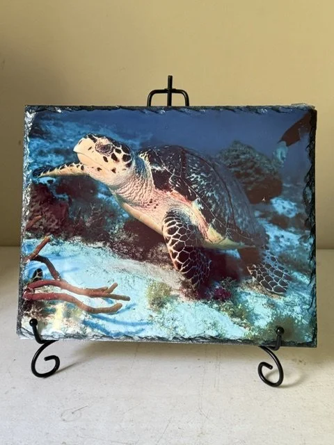 Sea Turtle Slate Tile 8 x 10