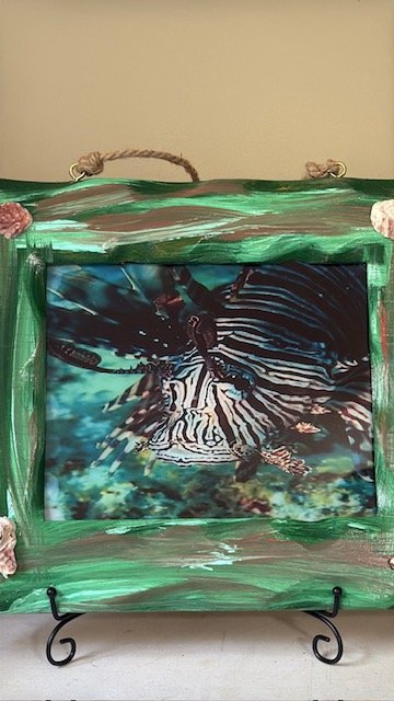 Lion Fish in 8 x 10 wooden Frame