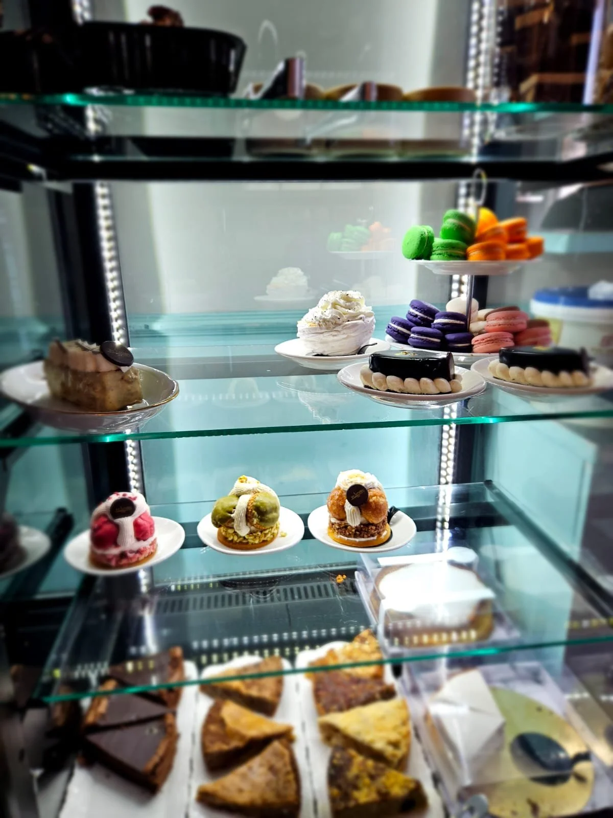 jumelles display case.jpeg