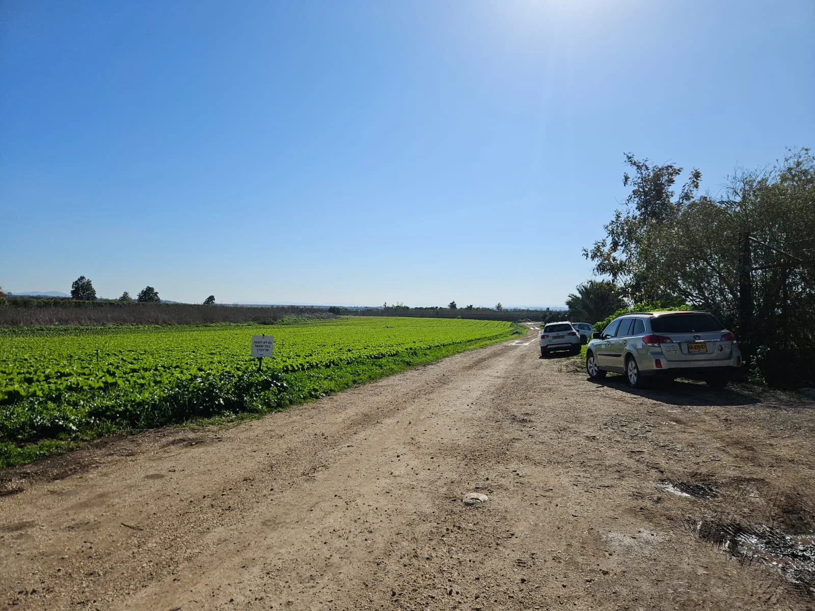 hakatefet field.jpeg