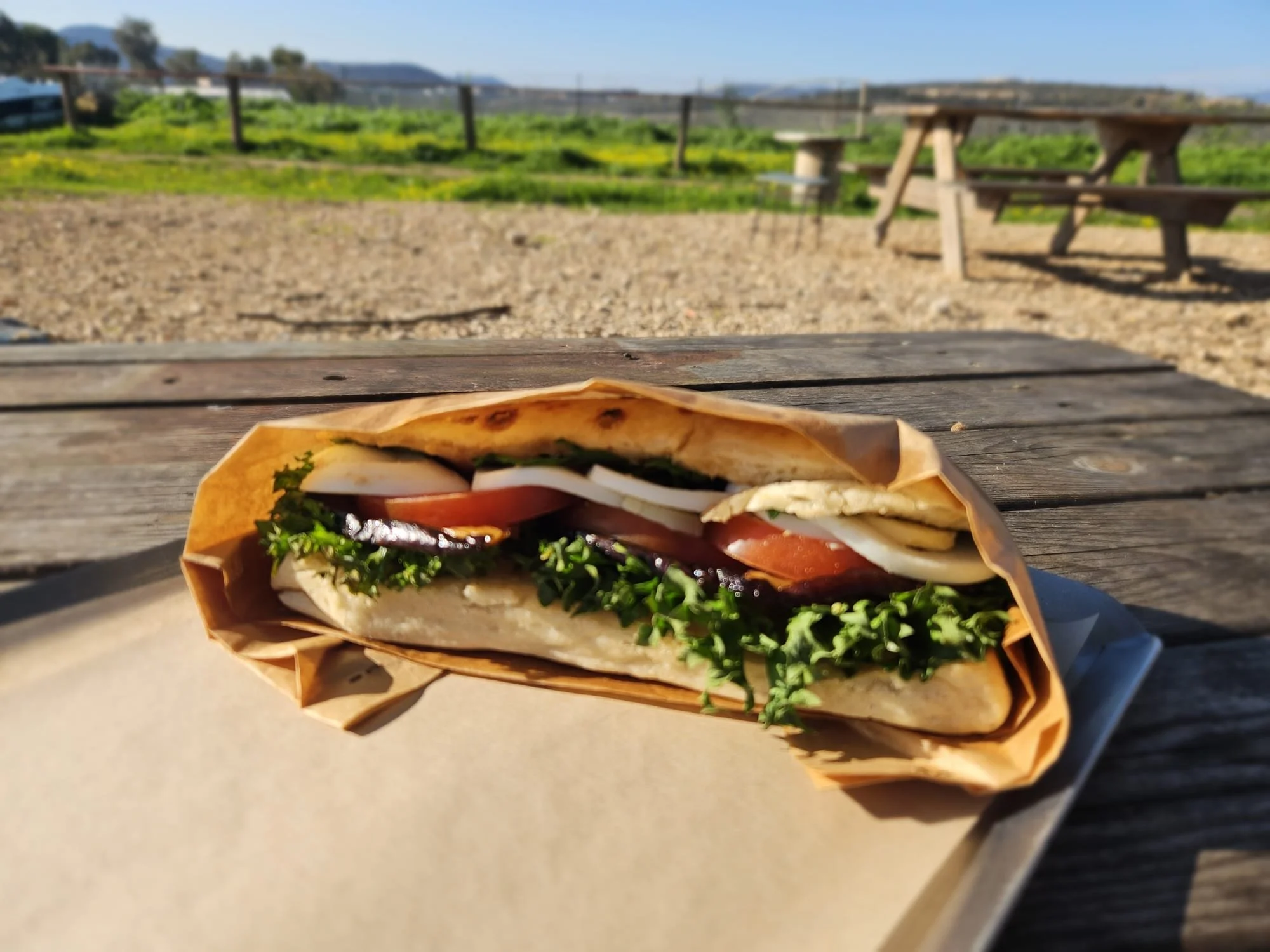 Moishe sabich sandwich.jpeg