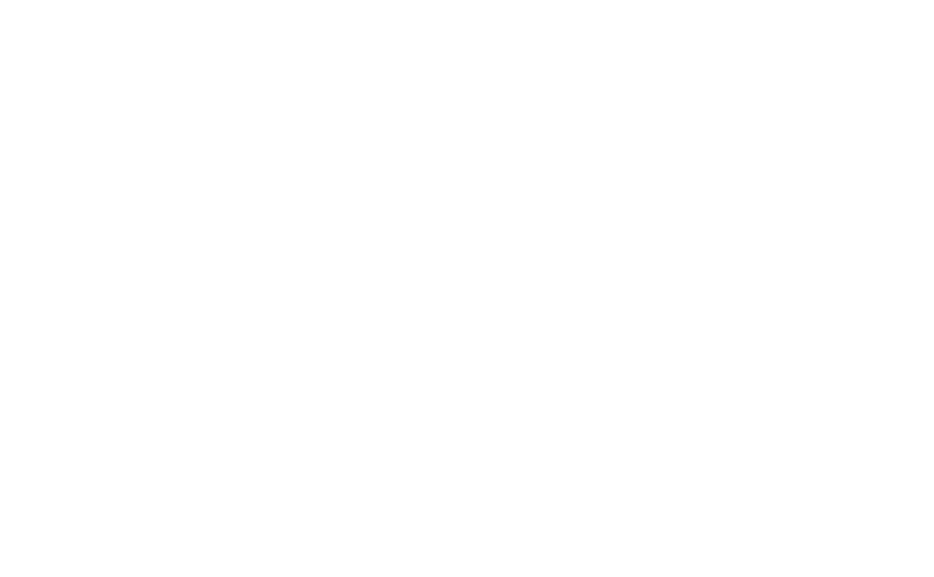 Reniet de Vries Portfolio
