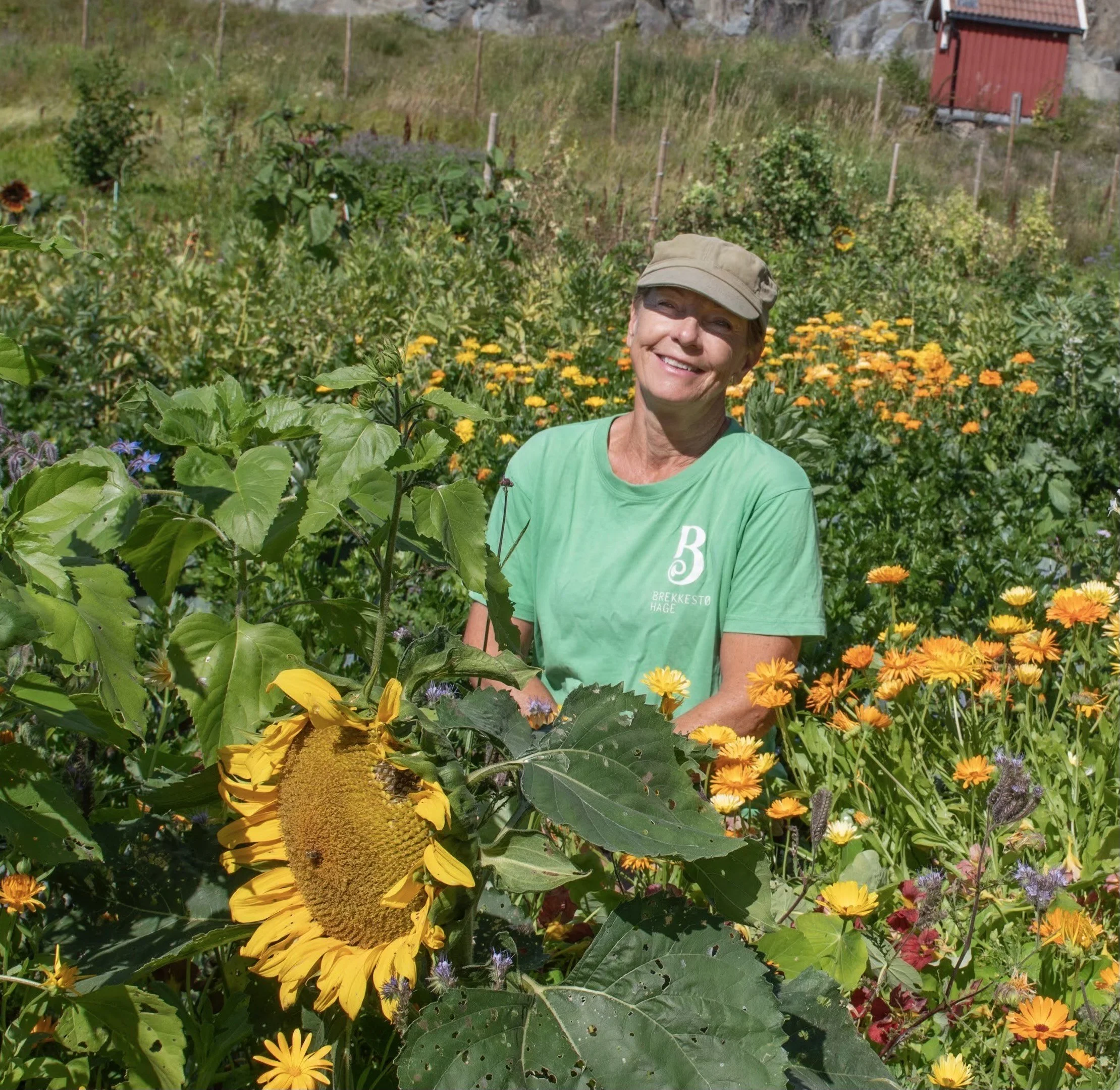 Jordnært - Brekkestø hage, økologisk markedshage. Omvisning og foredrag om dyrking & permakultur.  Abonnement på grønnsakskasser og direktesalg.