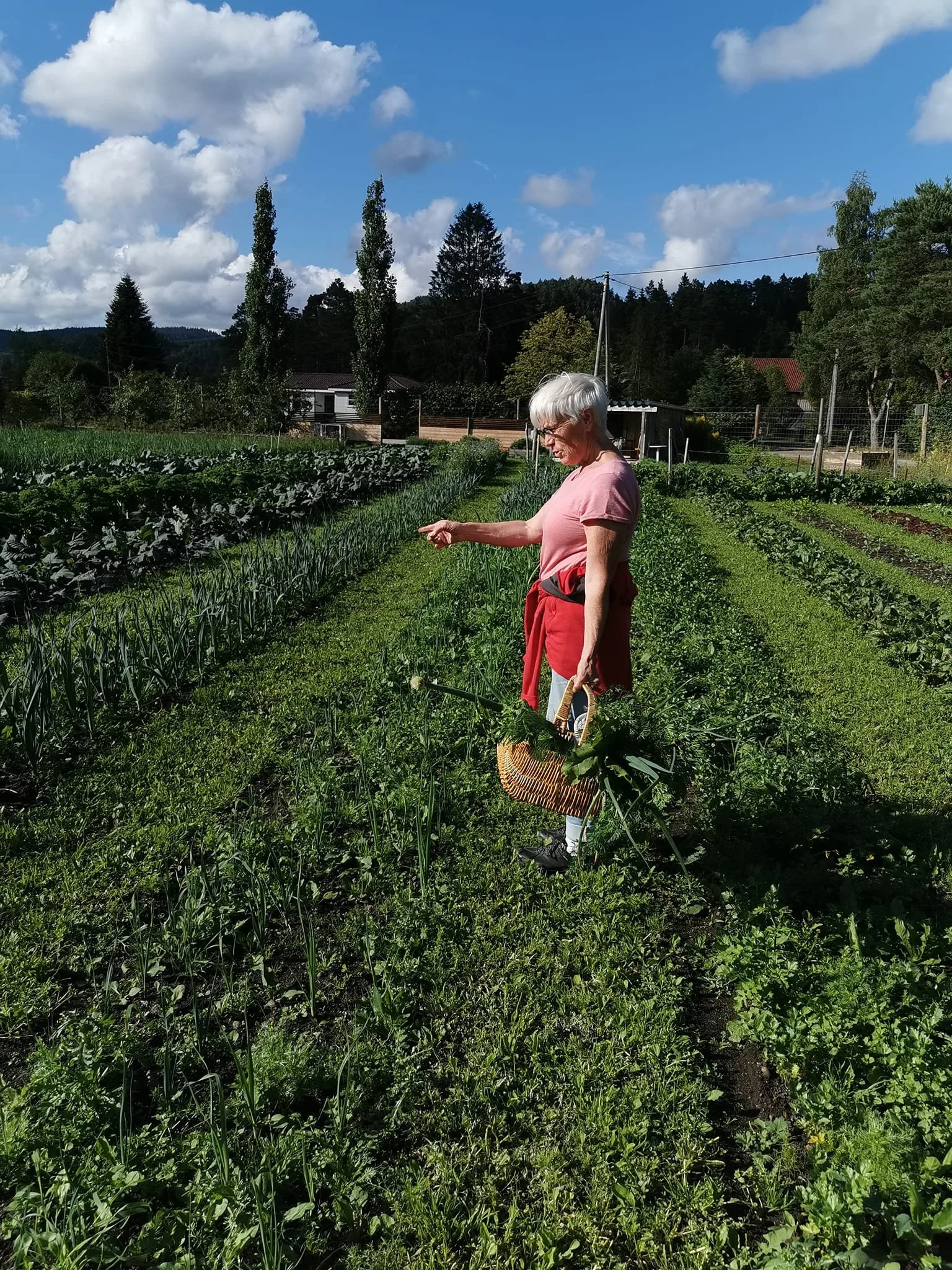 Jordnæert - Mjåland gård er en økologisk gård med jordbær og grønnsaker. Gården er Inn på Tunet-sertifisert og har eget andelslandbruk. Direktesalg  og REKO.