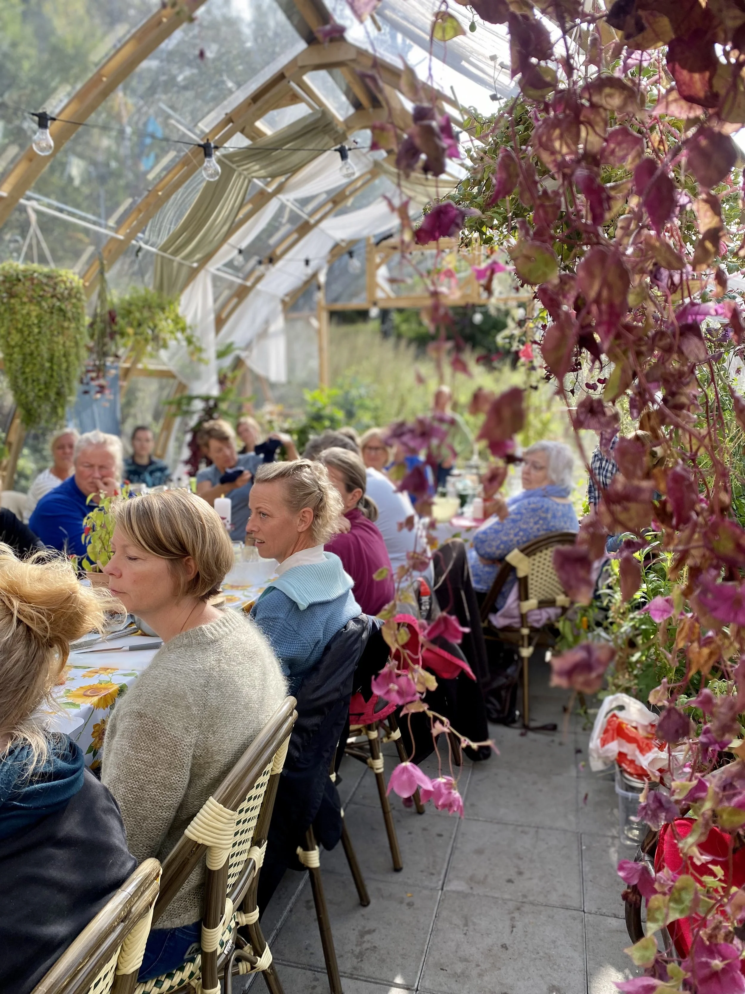 Jordnært - Slettene hage, økologisk småbruk med epler, eplemost fra eget mosteri, høns, gjess og grønnsaker. Drivhuskafé med utleierom. Gårdsutsalg og REKO