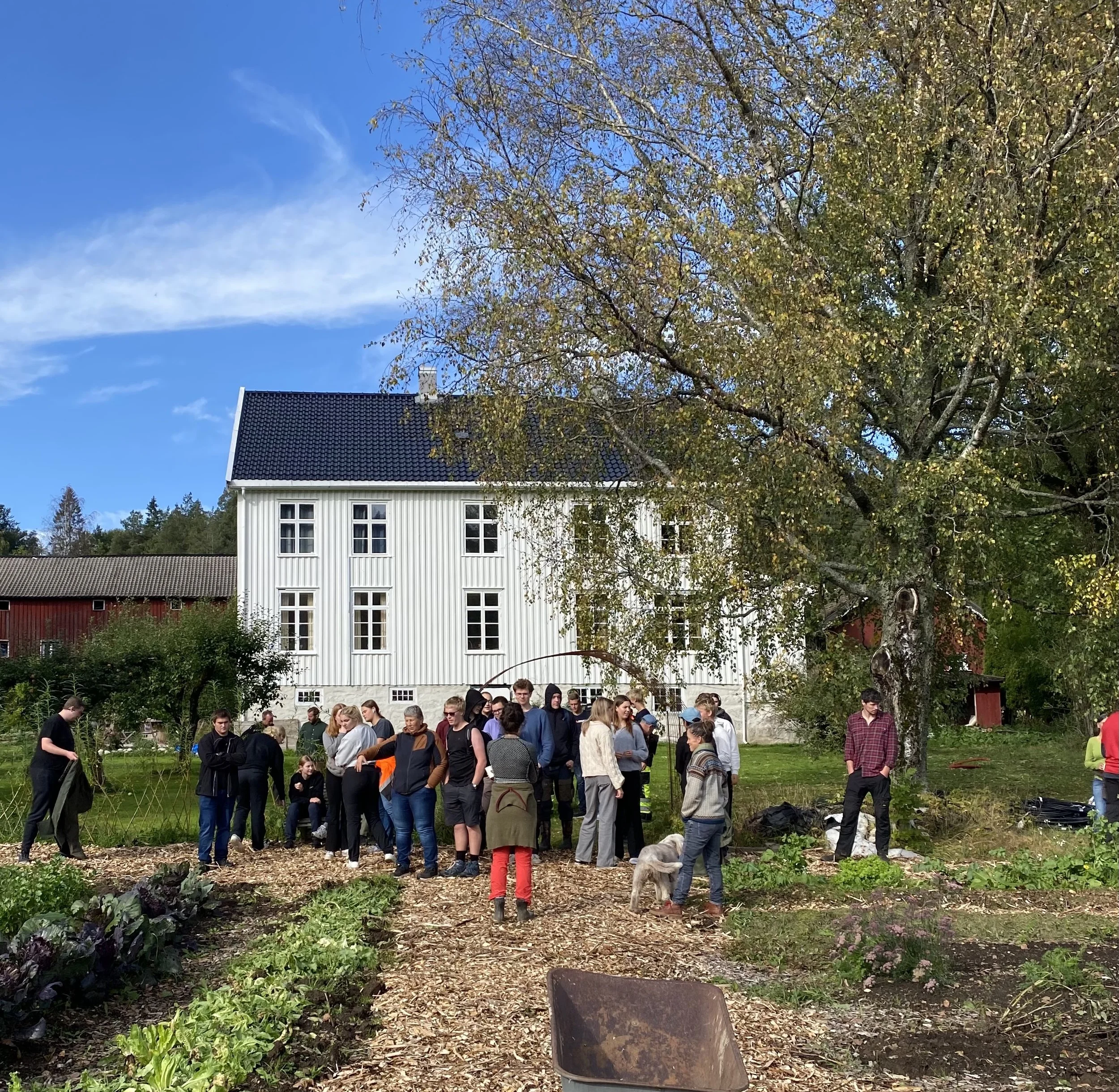 Jordnært - En økologisk gård med ammekyr, frilandsgris, verpehøns,  grønnsaker og Inn på tunet tilbud. Gårdsopplevelser & kurs. Selvbetjent gårdsutsalg & REKO