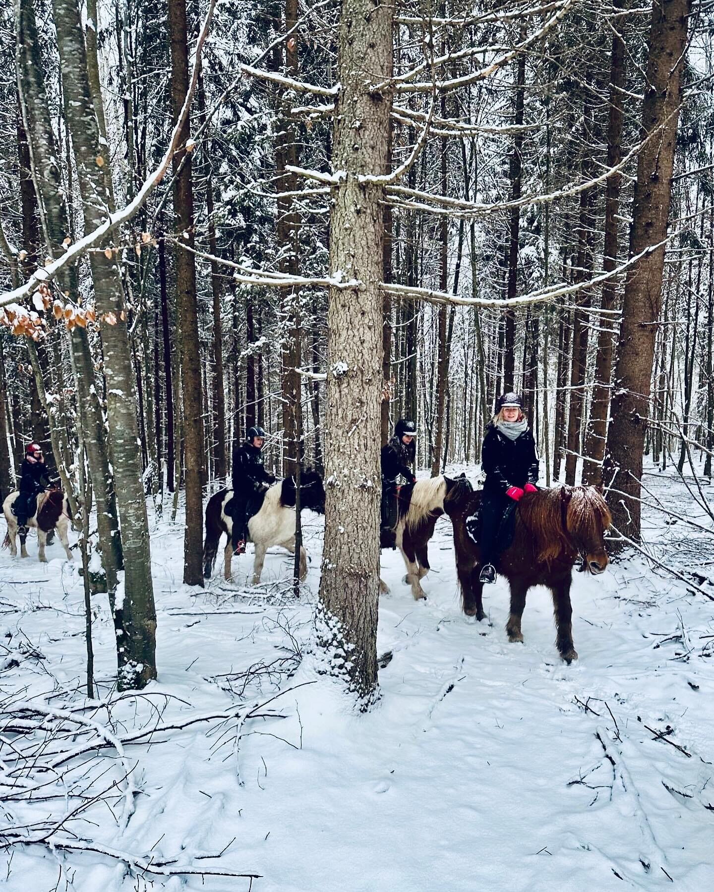 Saddled up for snowy escapade. ❄️🐴

#icelandichorse #icelandichorses #icelandichorsesofinstagram #icelandichorseworld #islandpferd #islandpferde #horseback #horsebackriding #horsebackridersofinstagram #horsebackridingislife #horsebackadventures #har