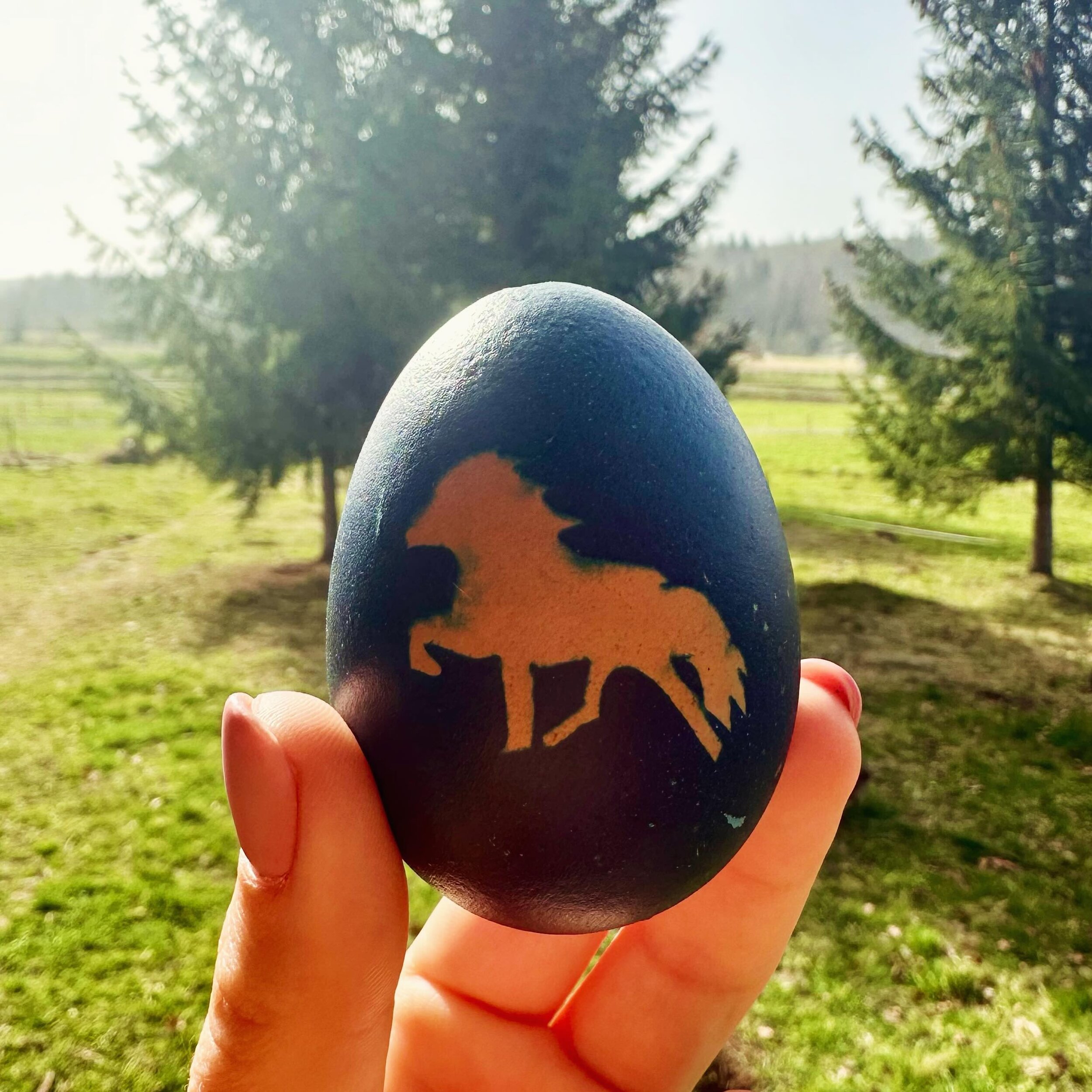 Happy Easter, fellow riders! 🐰🐴☀️

#happyeaster #equestrianlife #horsebackriding #isihorse #isihorseofinstagram #icelandichorse #icelandichorses #icelandichorsesofinstagram #islandpferd #islandpferde #horseblogger #horsebackrider