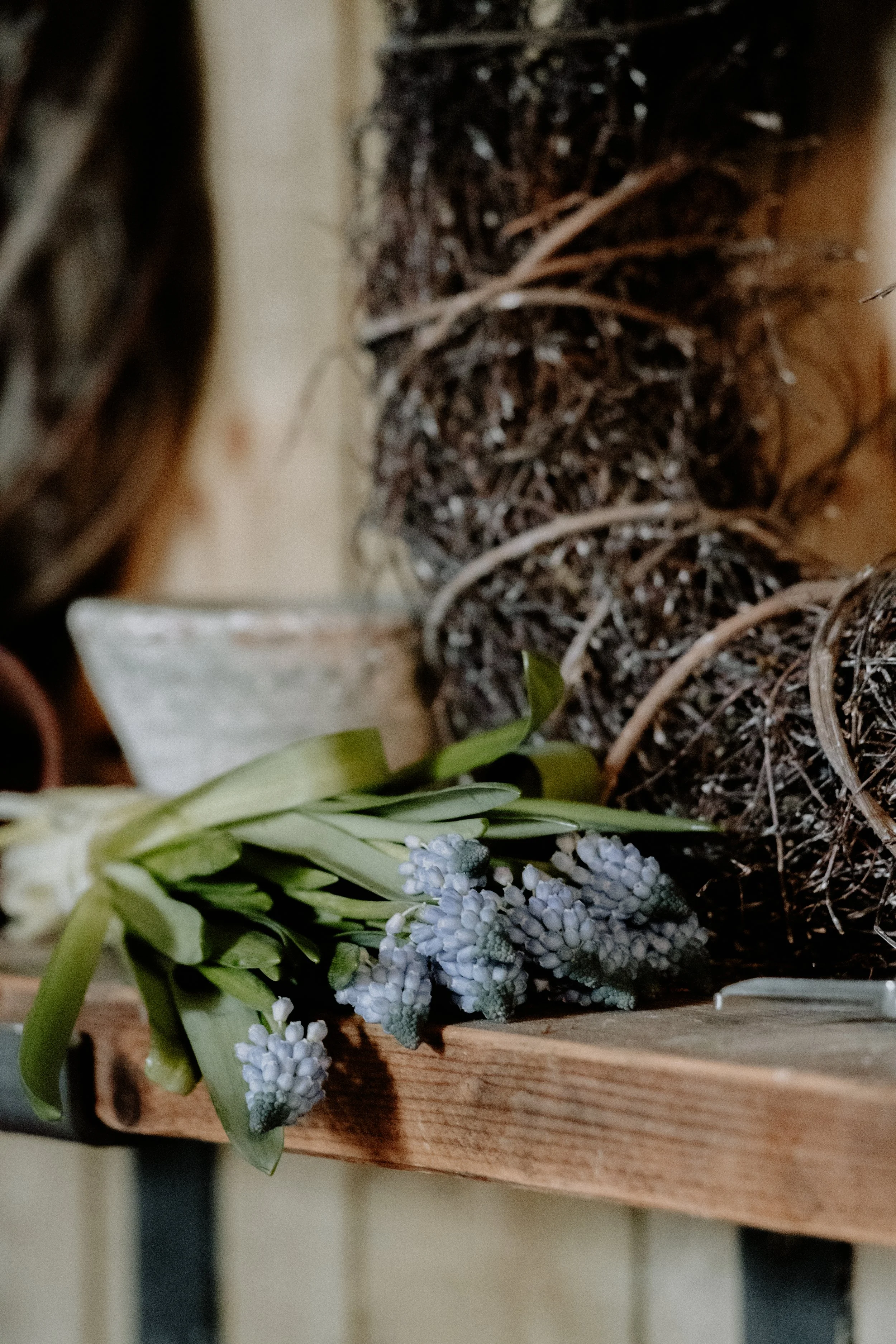 MSD - GG The Potting Shed Spring 26-19.jpg