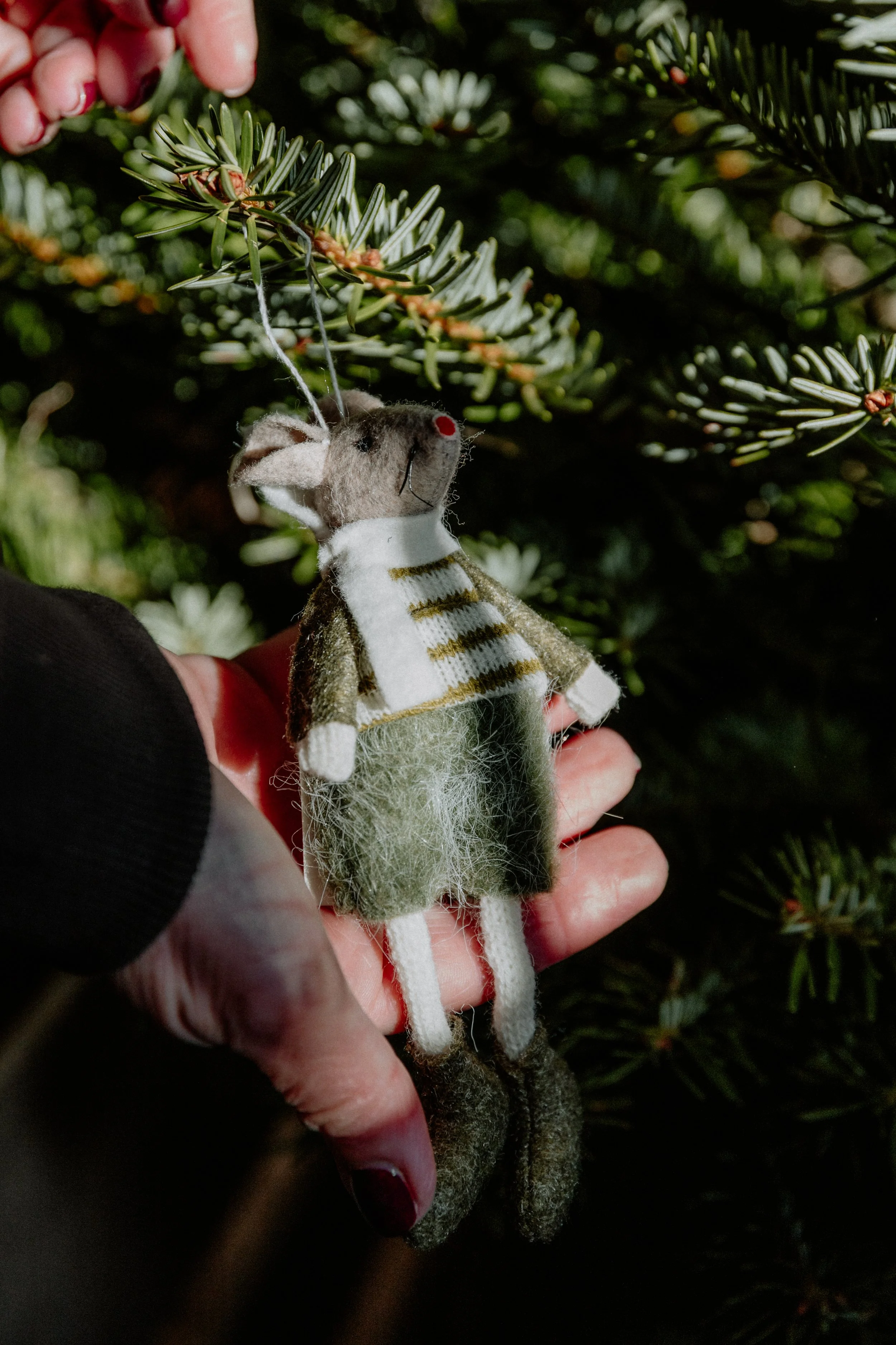 MSD - GG Xmas Stock-35.jpg