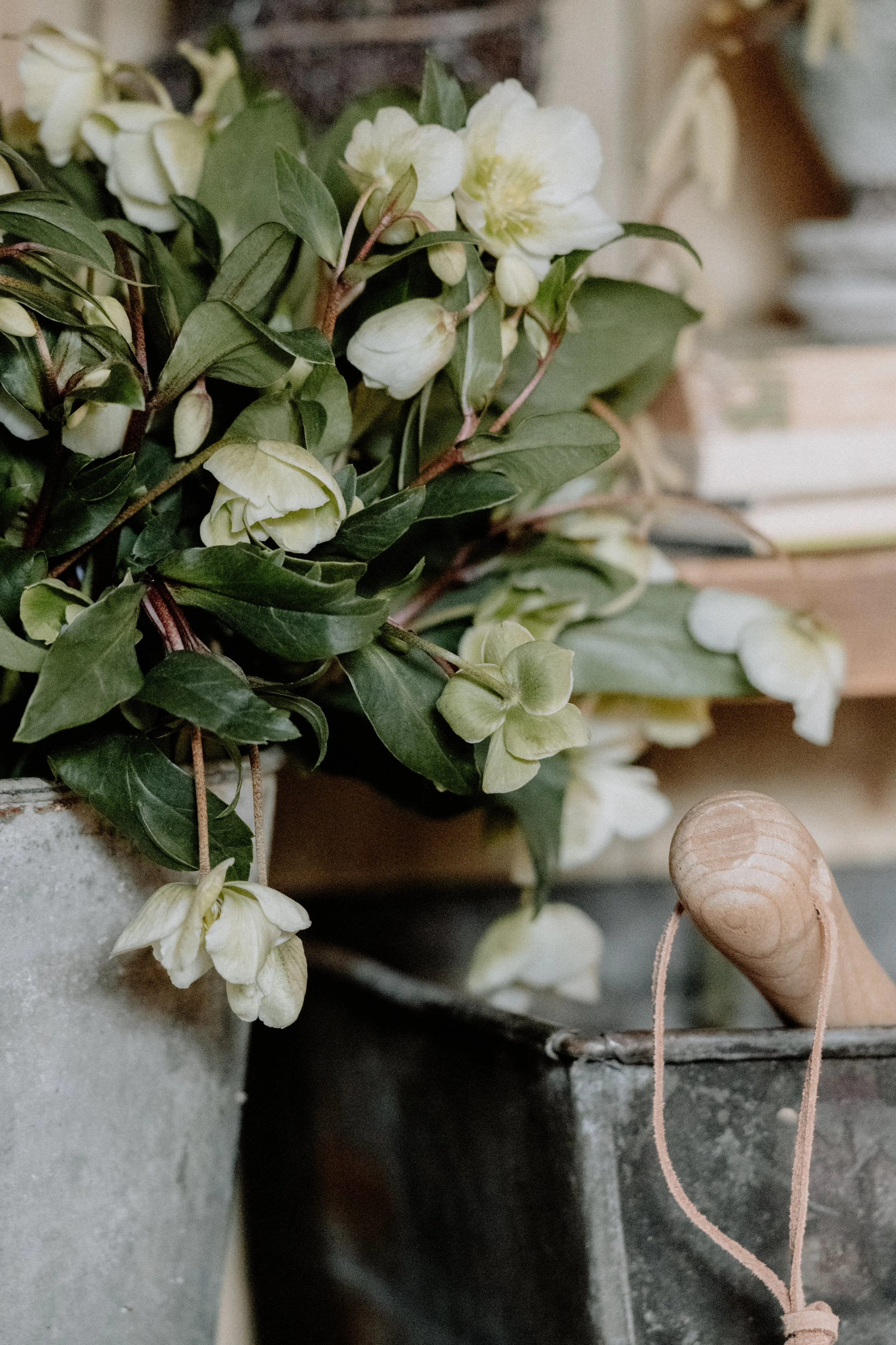 MSD - GG The Potting Shed Spring 26-10.jpg