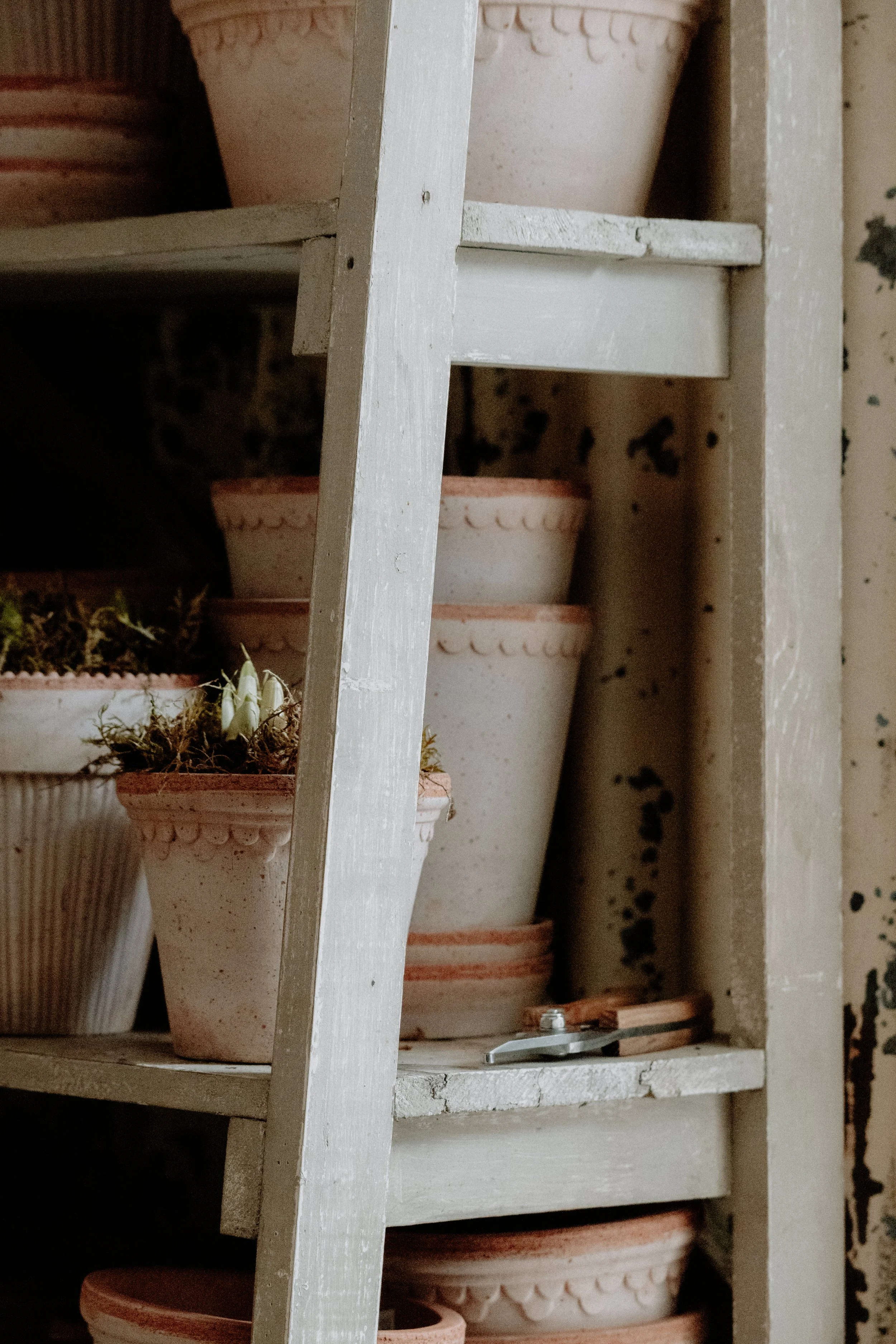 MSD - GG The Potting Shed Spring 26-4.jpg