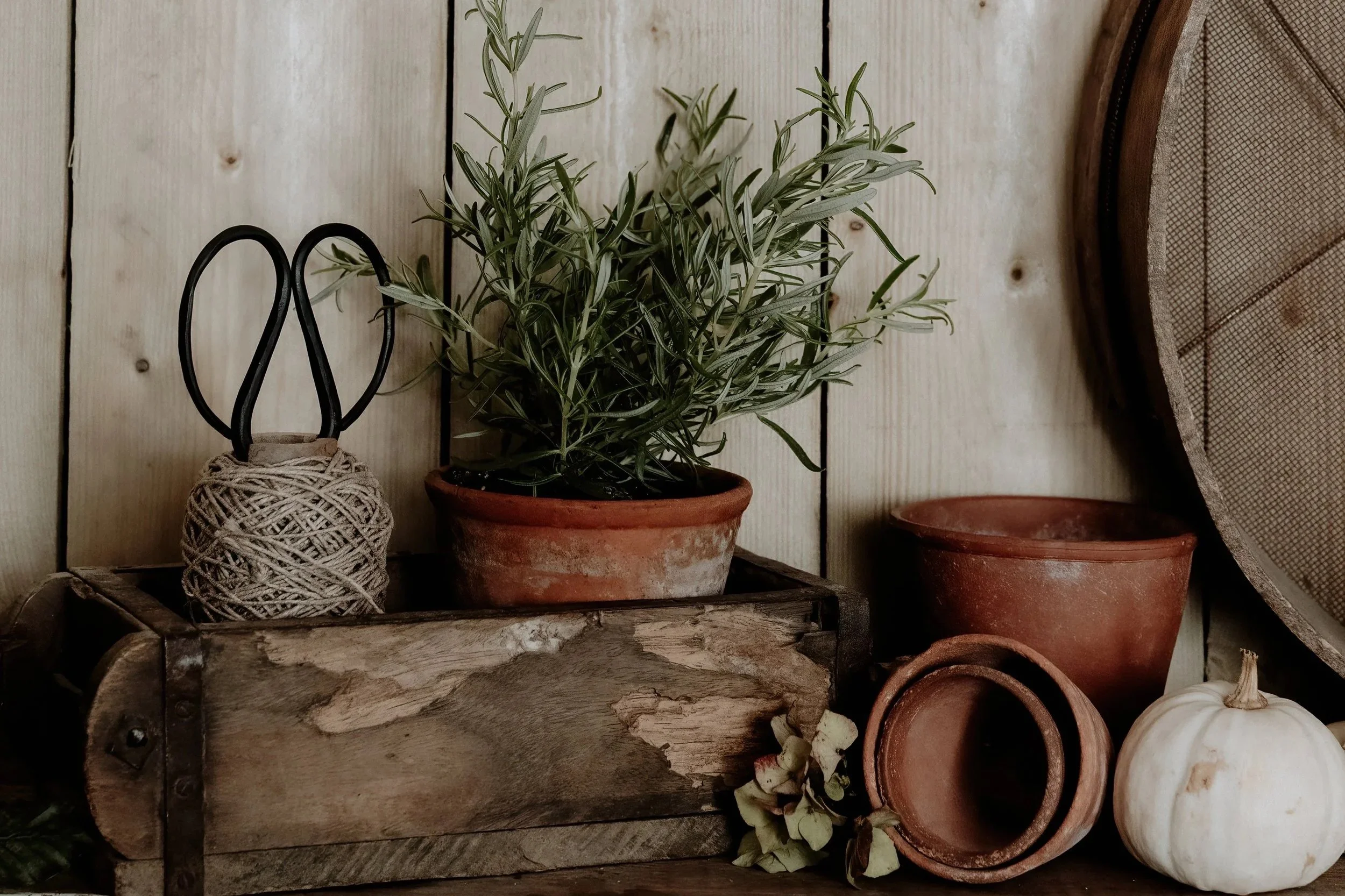 MSD+-+GG+Autumn+Potting+Shed+25-20.jpg