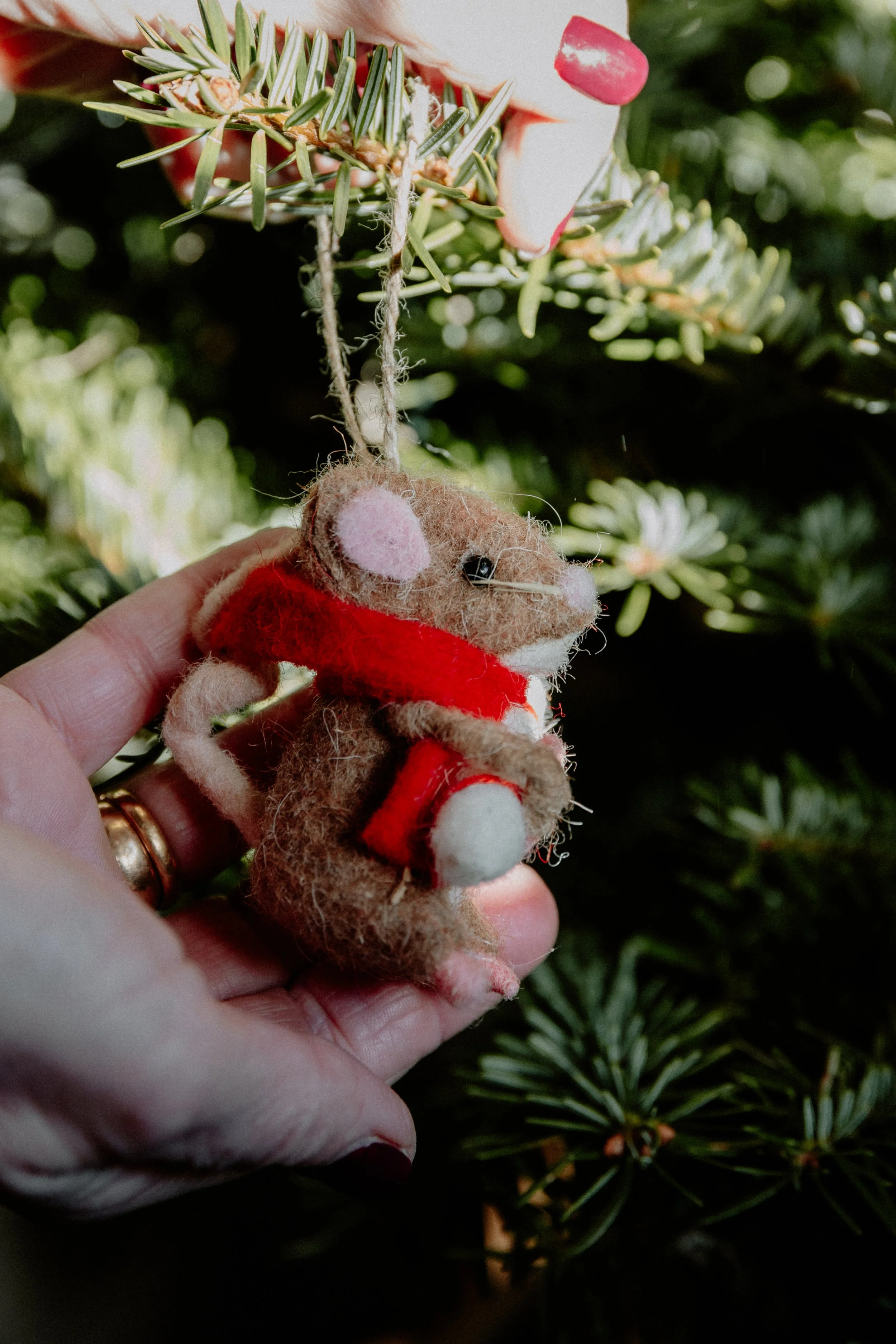 MSD - GG Xmas Stock-31.jpg