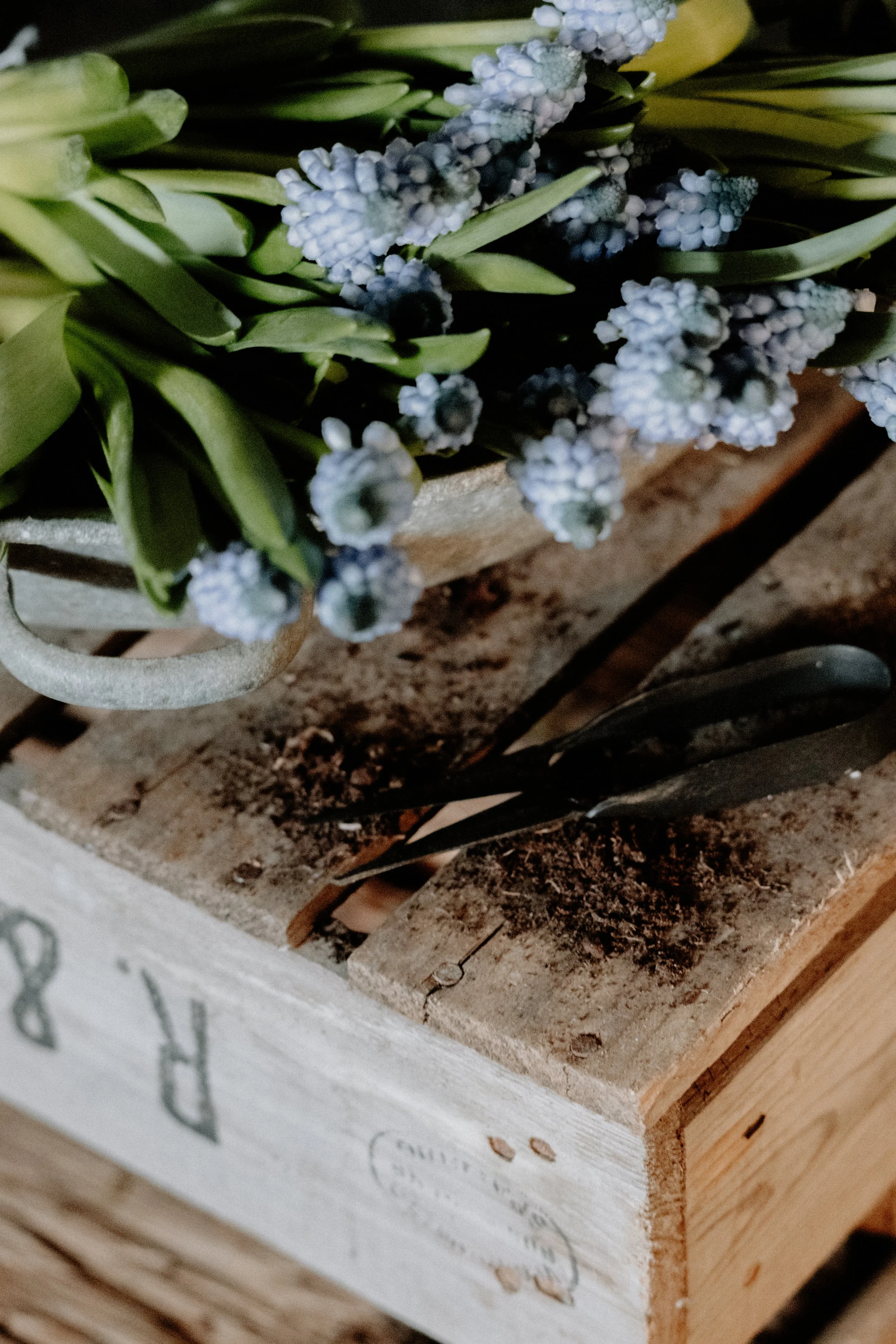 MSD - GG The Potting Shed Spring 26-22.jpg