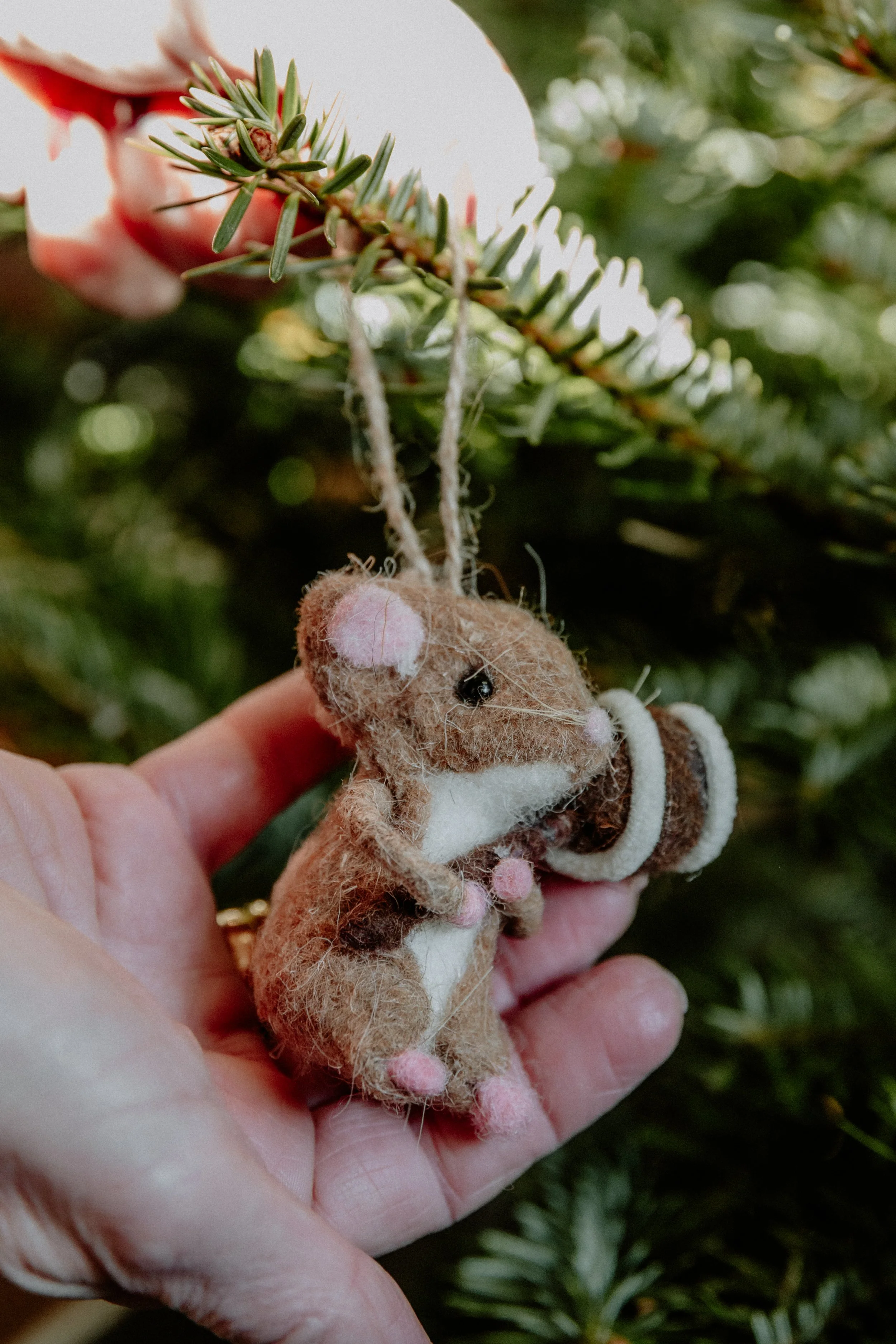 MSD - GG Xmas Stock-30.jpg