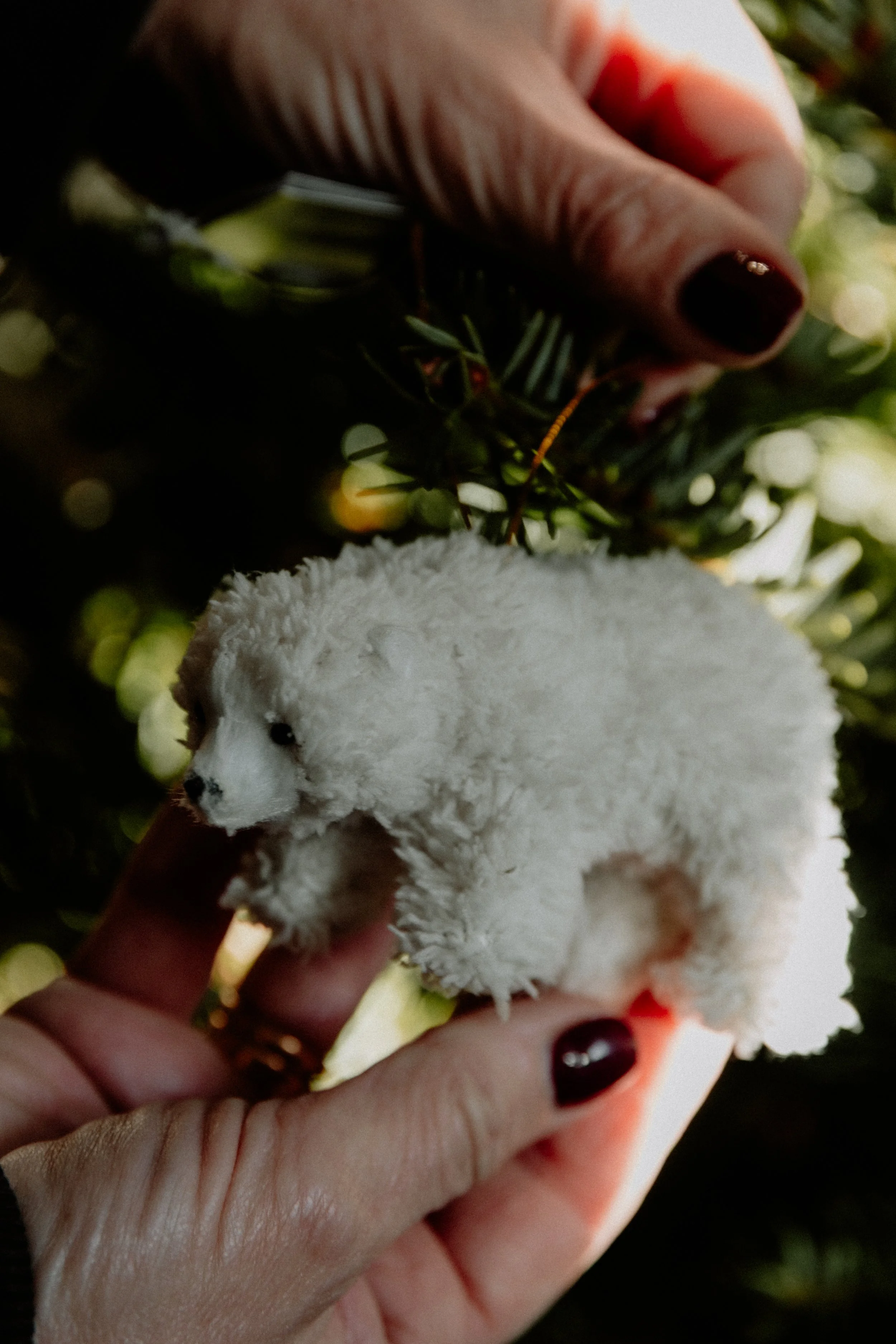 MSD - GG Xmas Stock-21.jpg