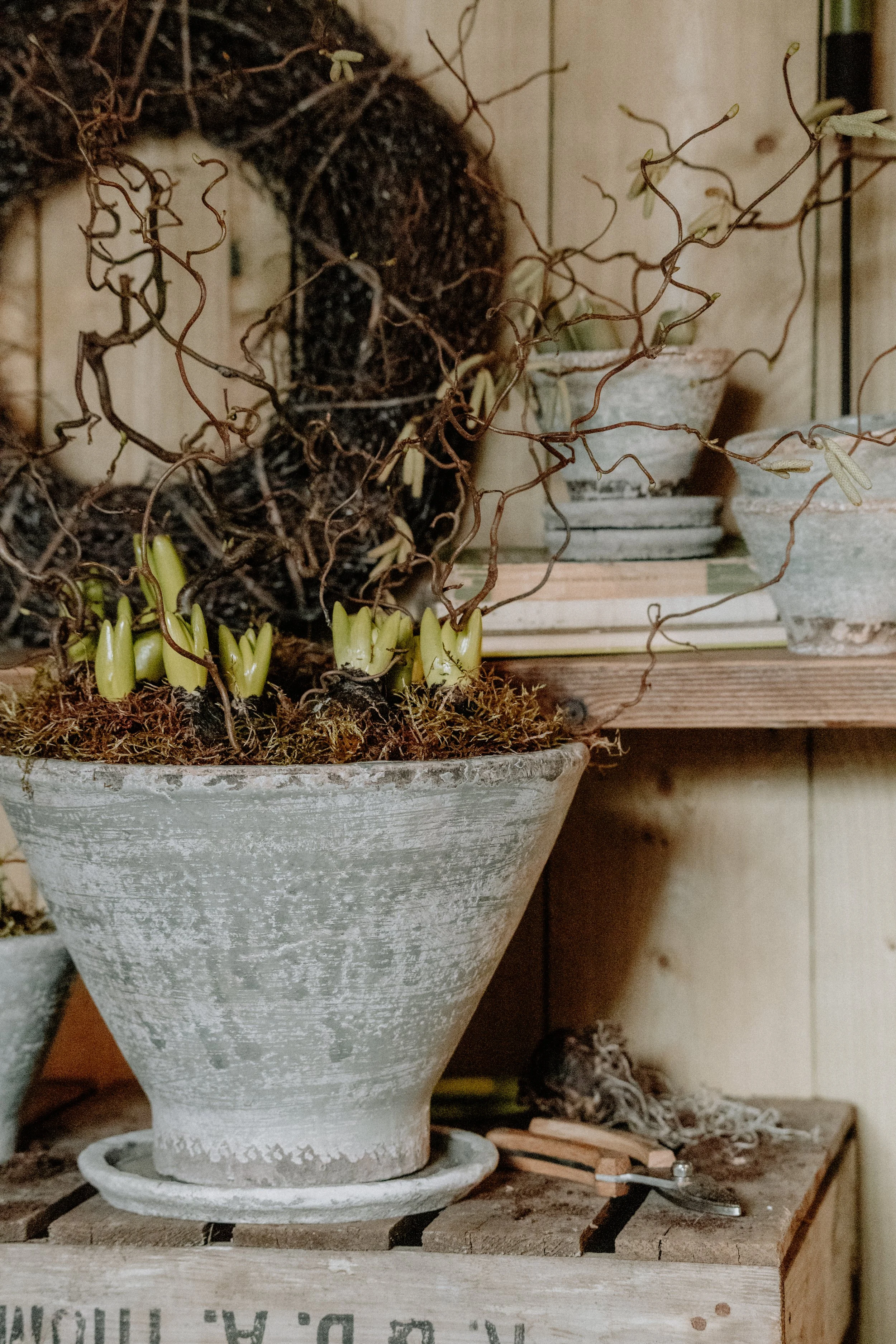 MSD - GG The Potting Shed Spring 26-11.jpg