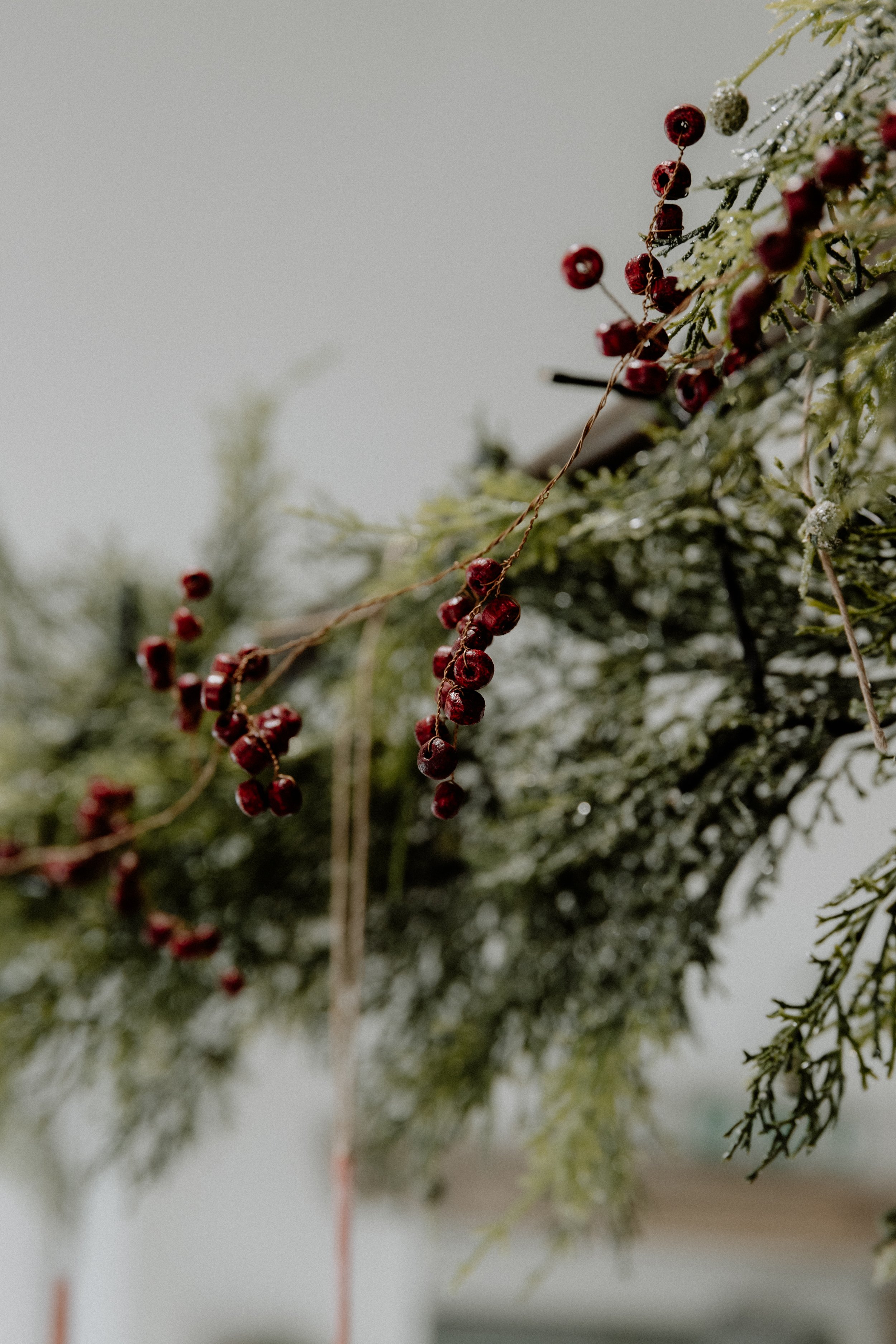 MSD - GG Xmas Stock-7.jpg