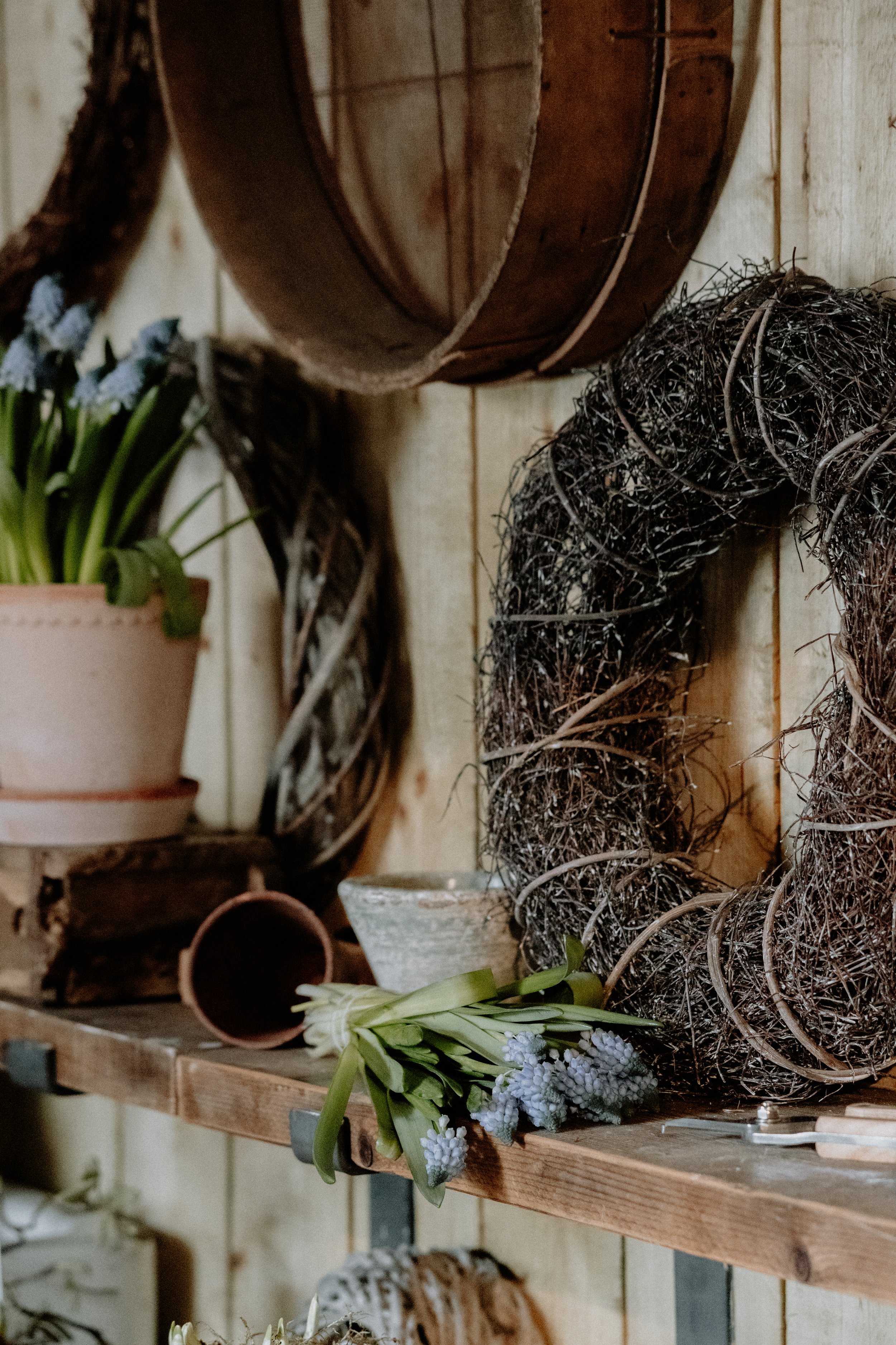 MSD - GG The Potting Shed Spring 26-18.jpg