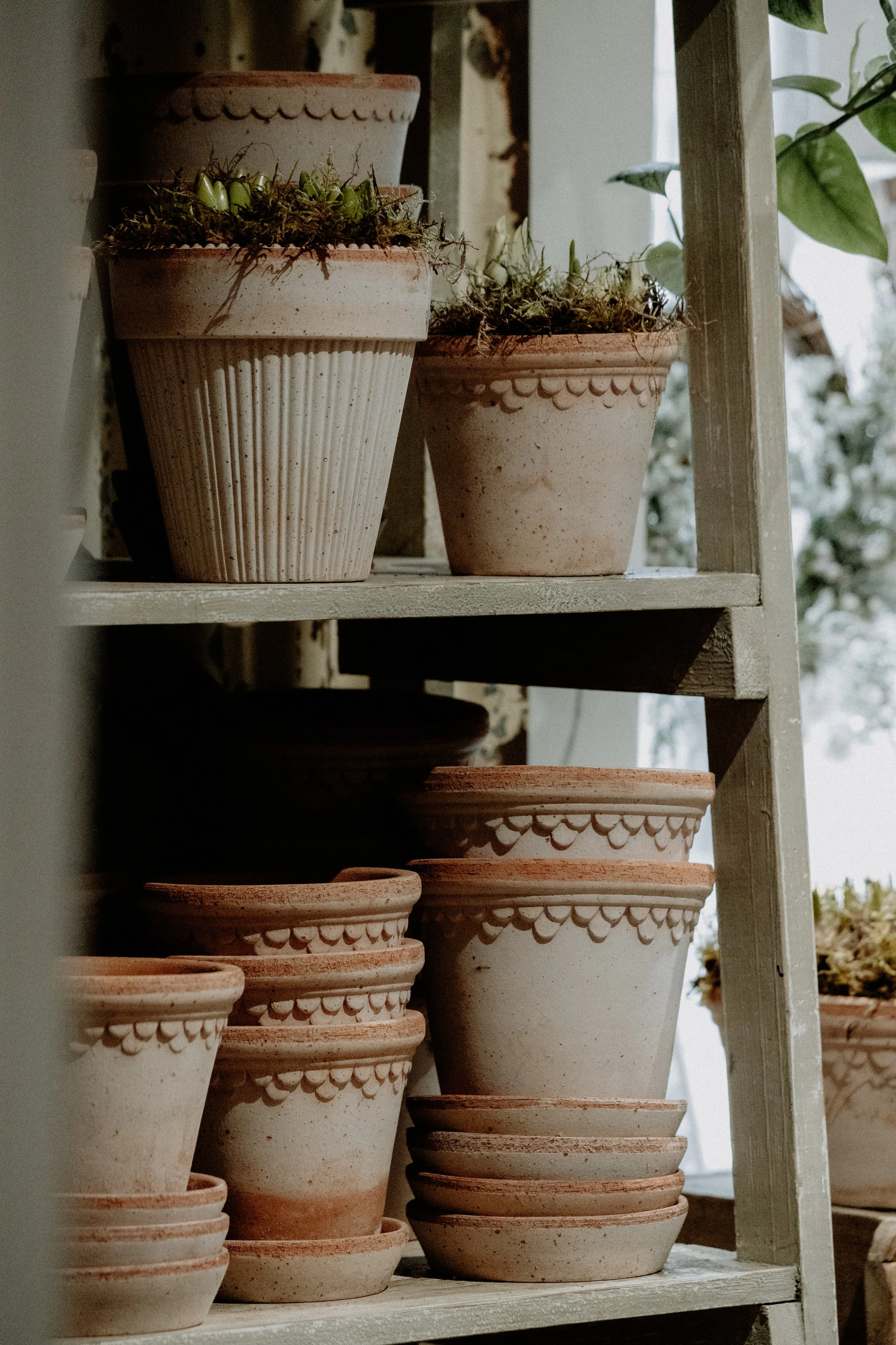 MSD - GG The Potting Shed Spring 26-1.jpg