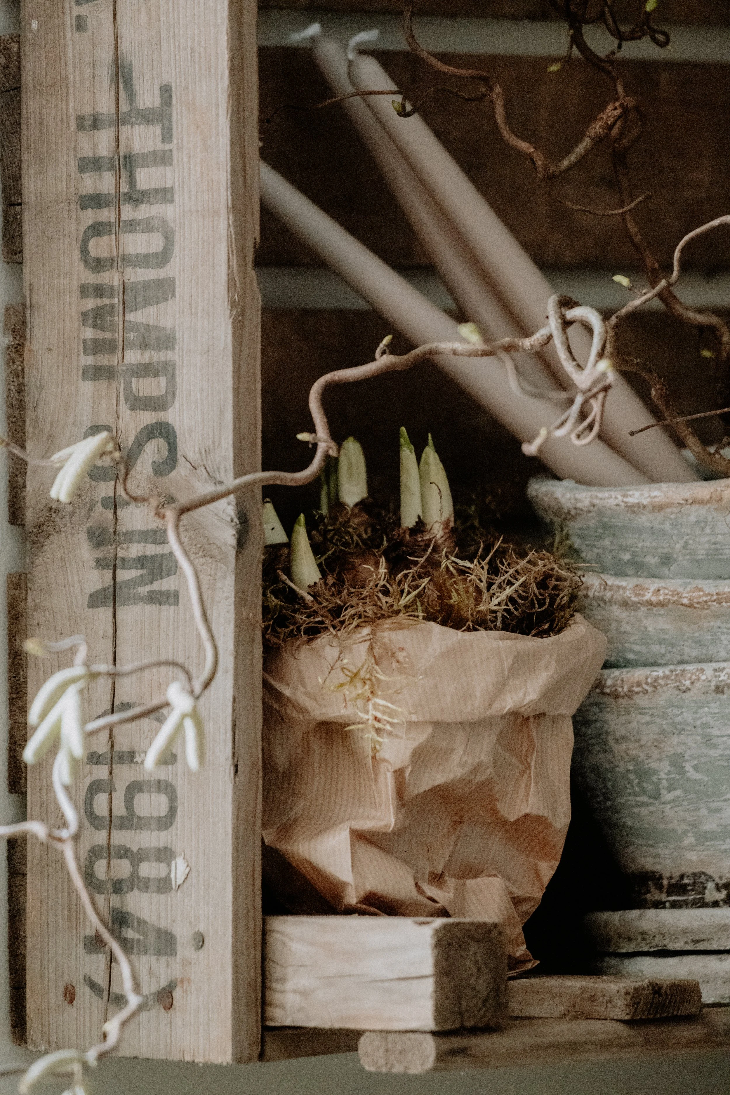 MSD - GG The Potting Shed Spring 26-6.jpg