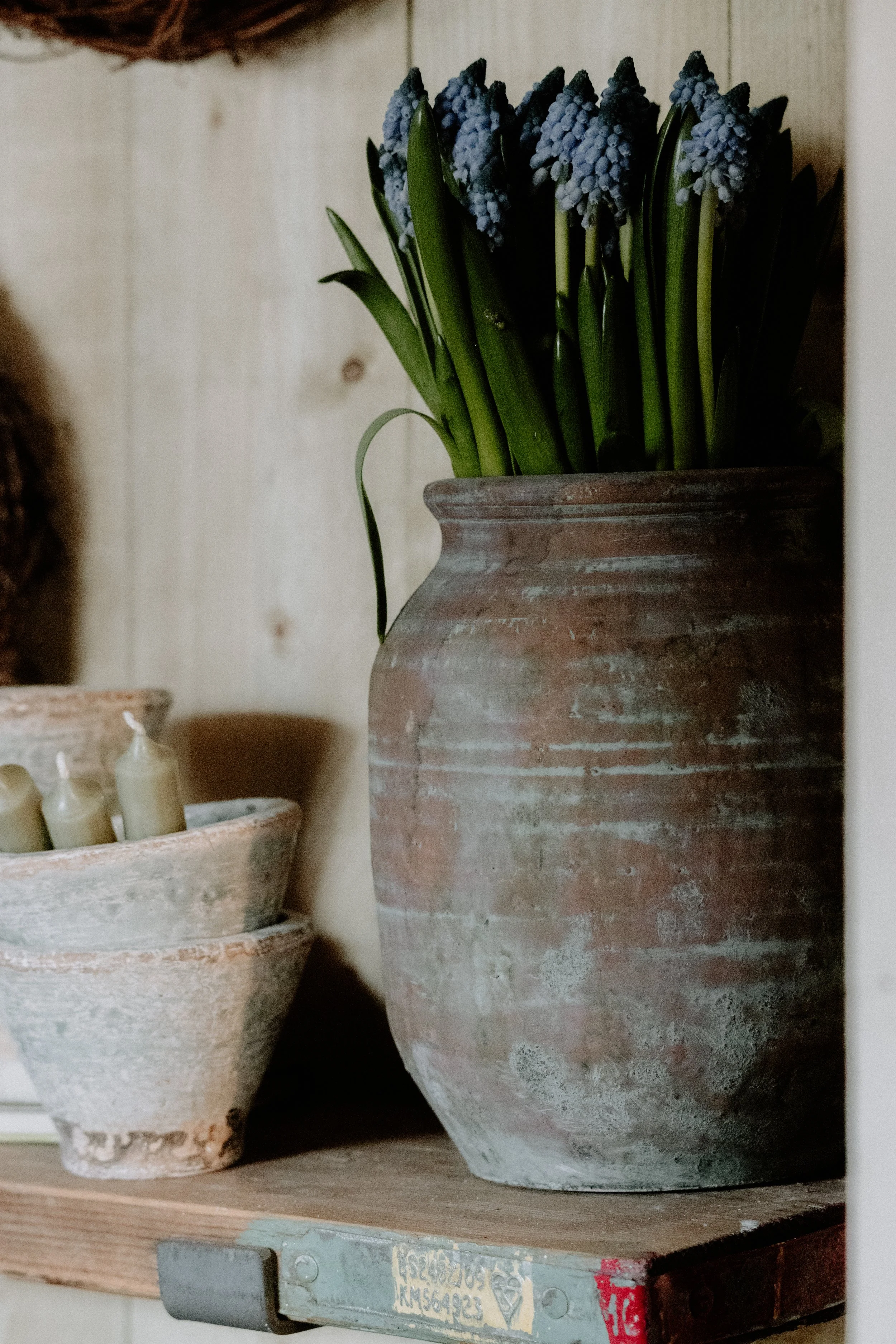 MSD - GG The Potting Shed Spring 26-17.jpg