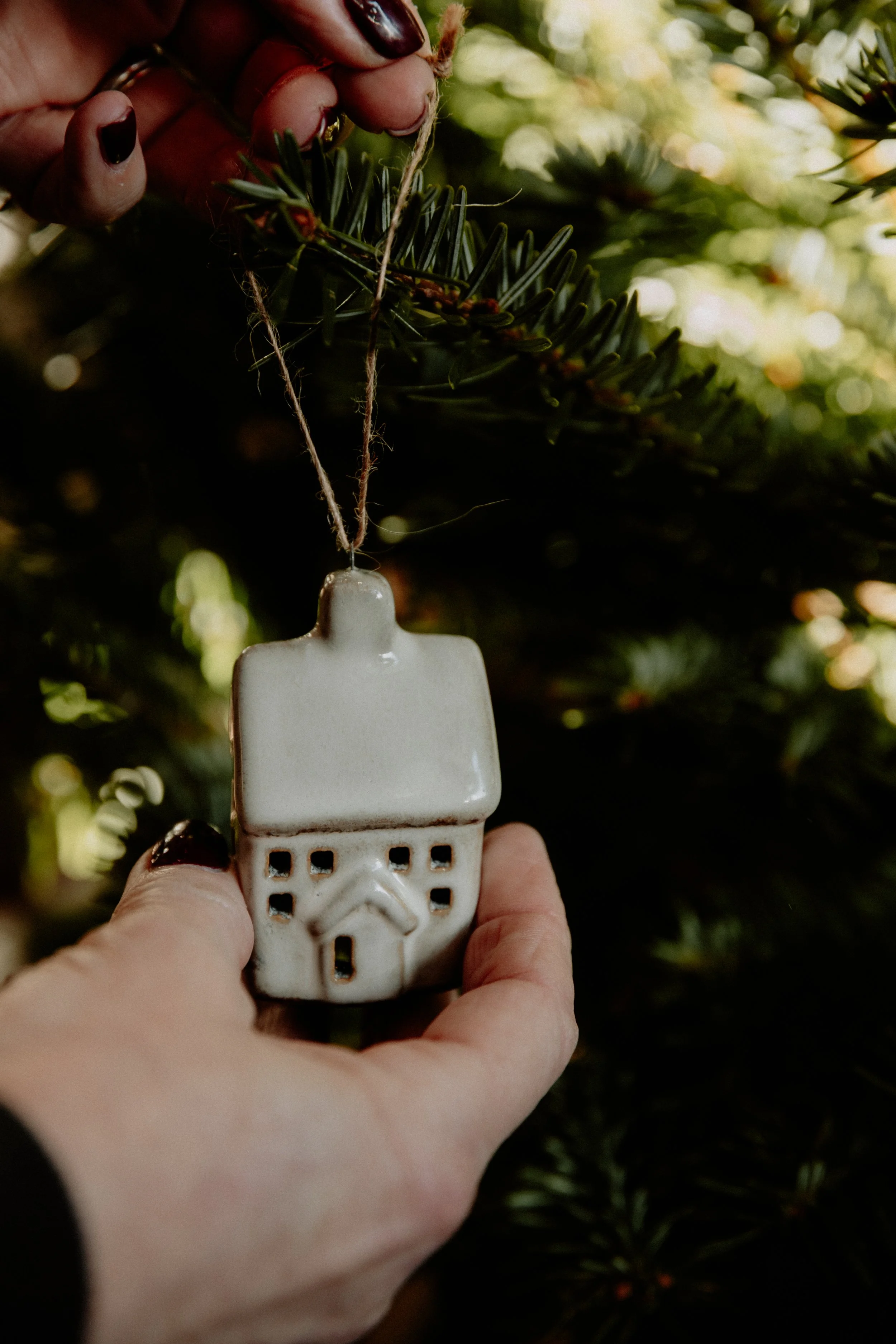 MSD - GG Xmas Stock-19.jpg