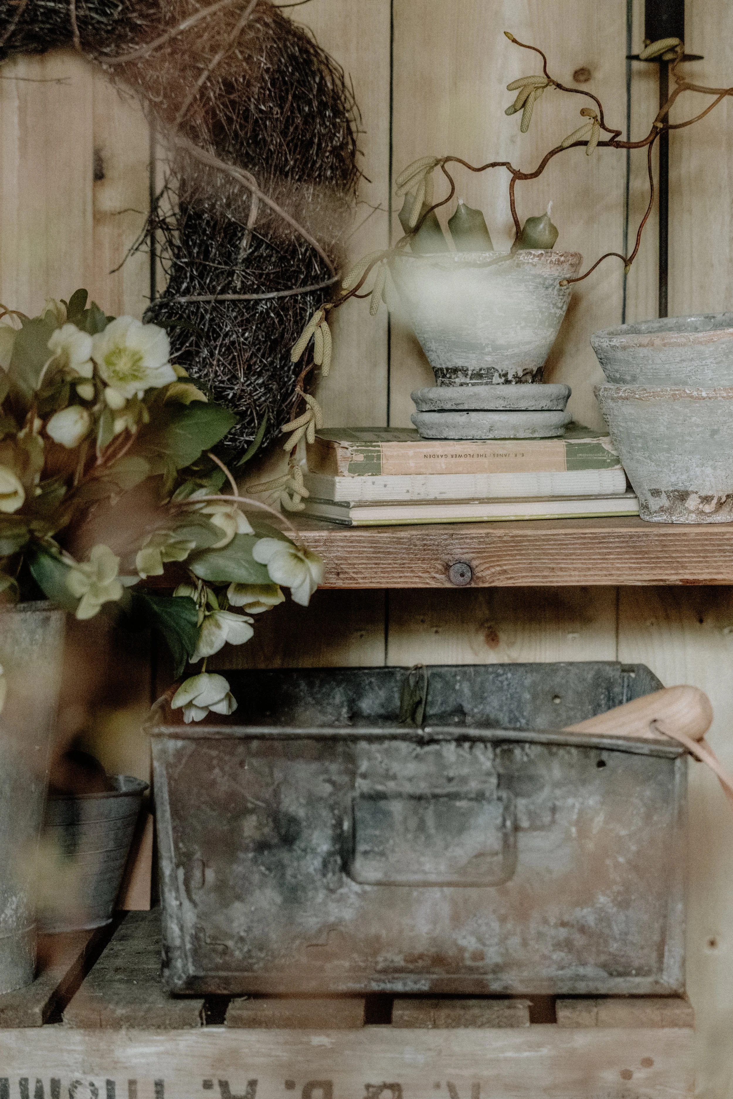 MSD - GG The Potting Shed Spring 26-9.jpg