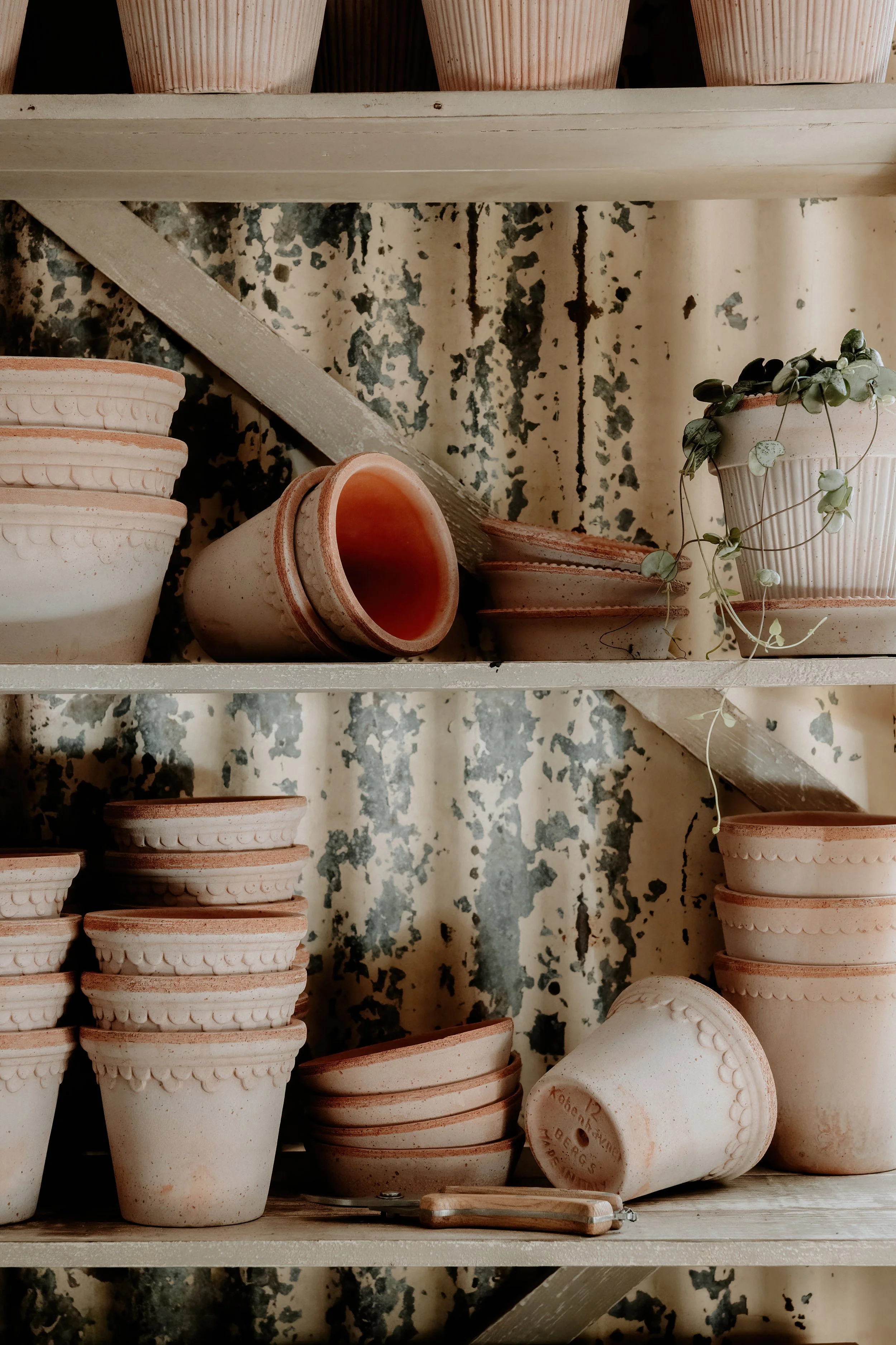 MSD - GG Autumn Potting Shed 25-1.jpg